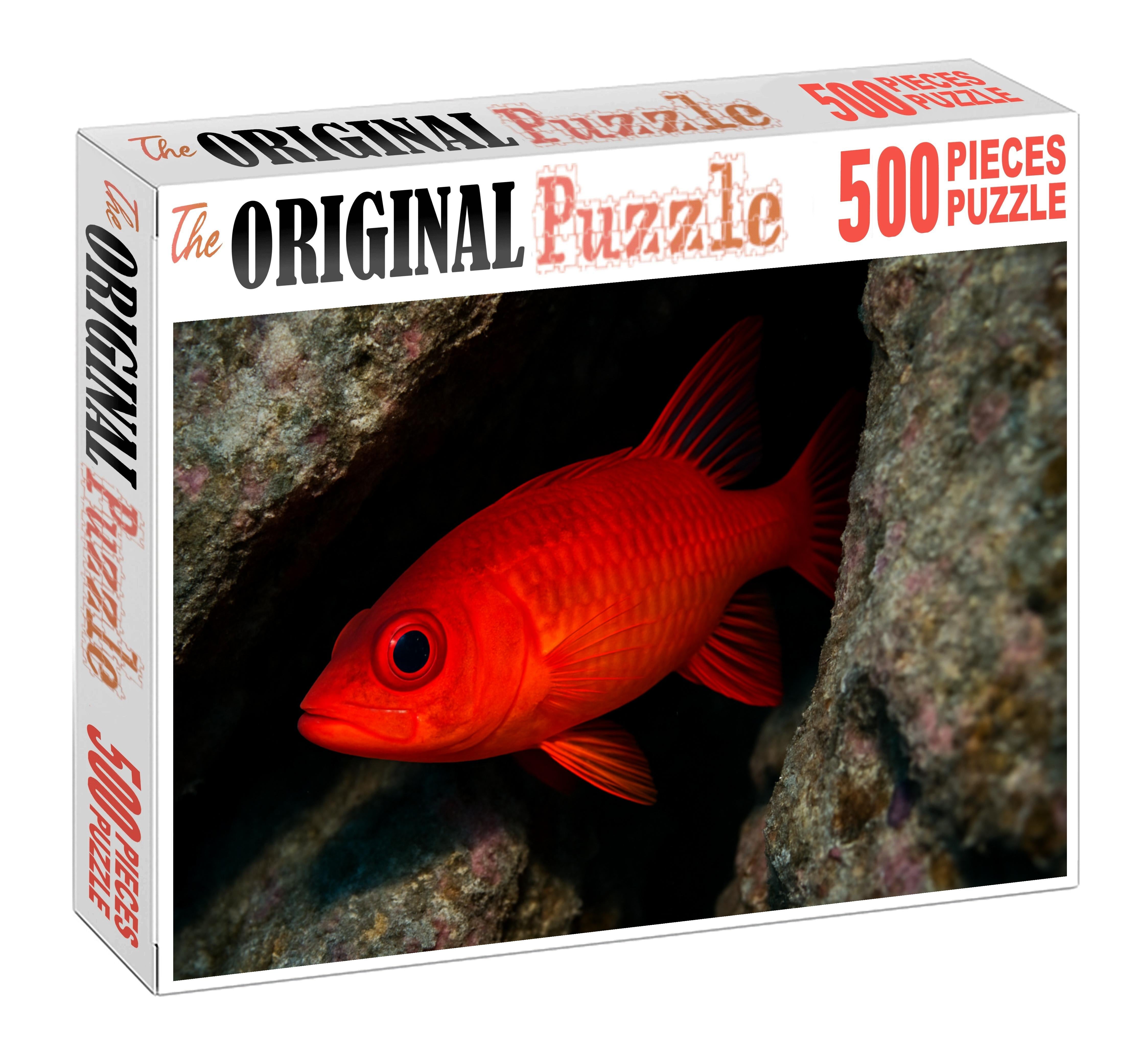 Sunset Blenny Small Elongated Fish With Fiery Gradient Coloration Easy Puzzles