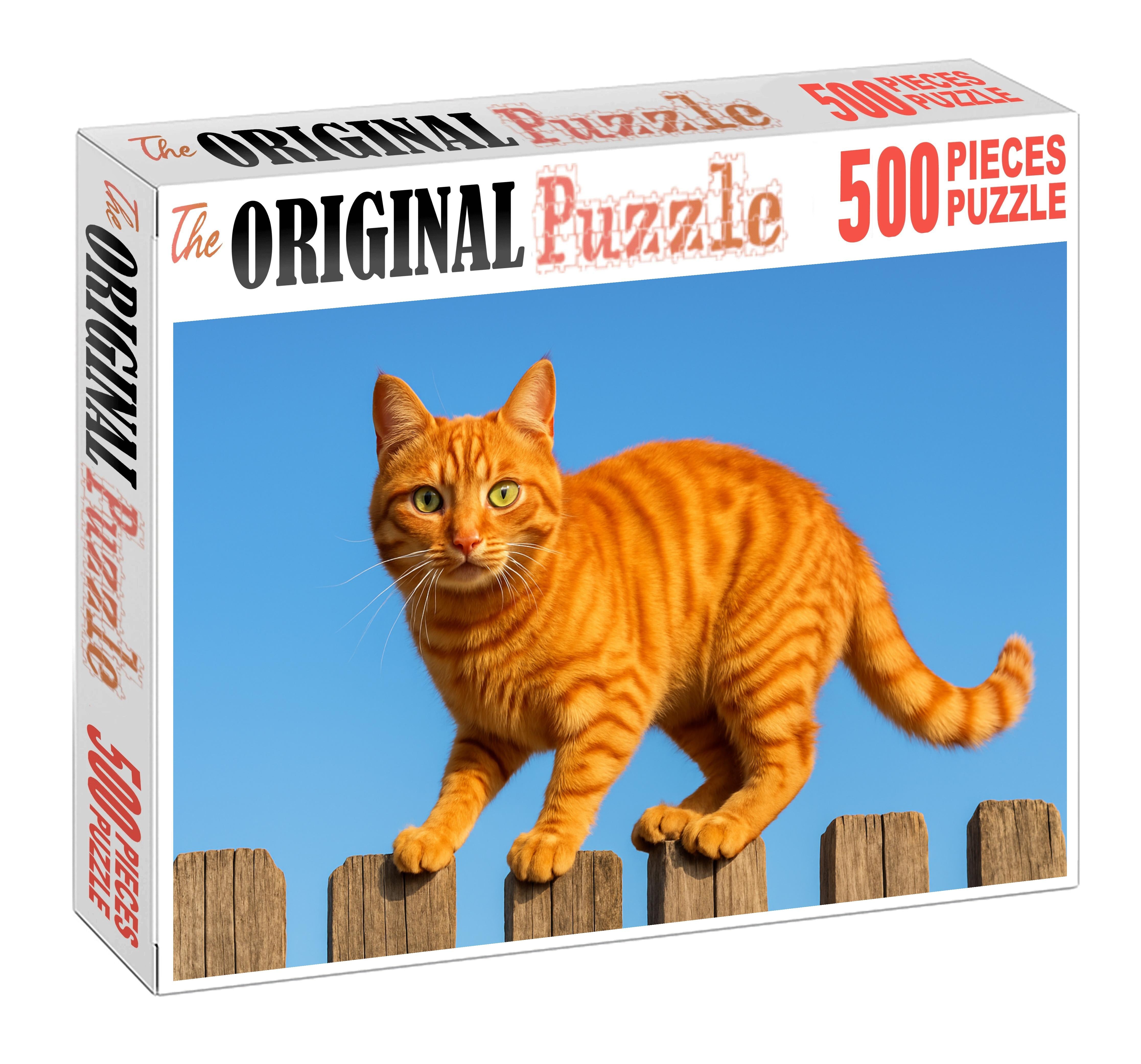 Copper Blaze Fiery Orange Tabby With Spirited Temperament Challenging Puzzles