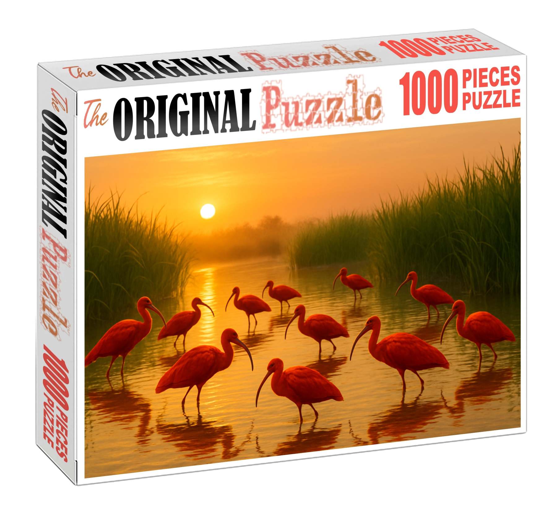 Scarlet Ibis The Scarlet Flaming Forest Visitor Unique Puzzle Design