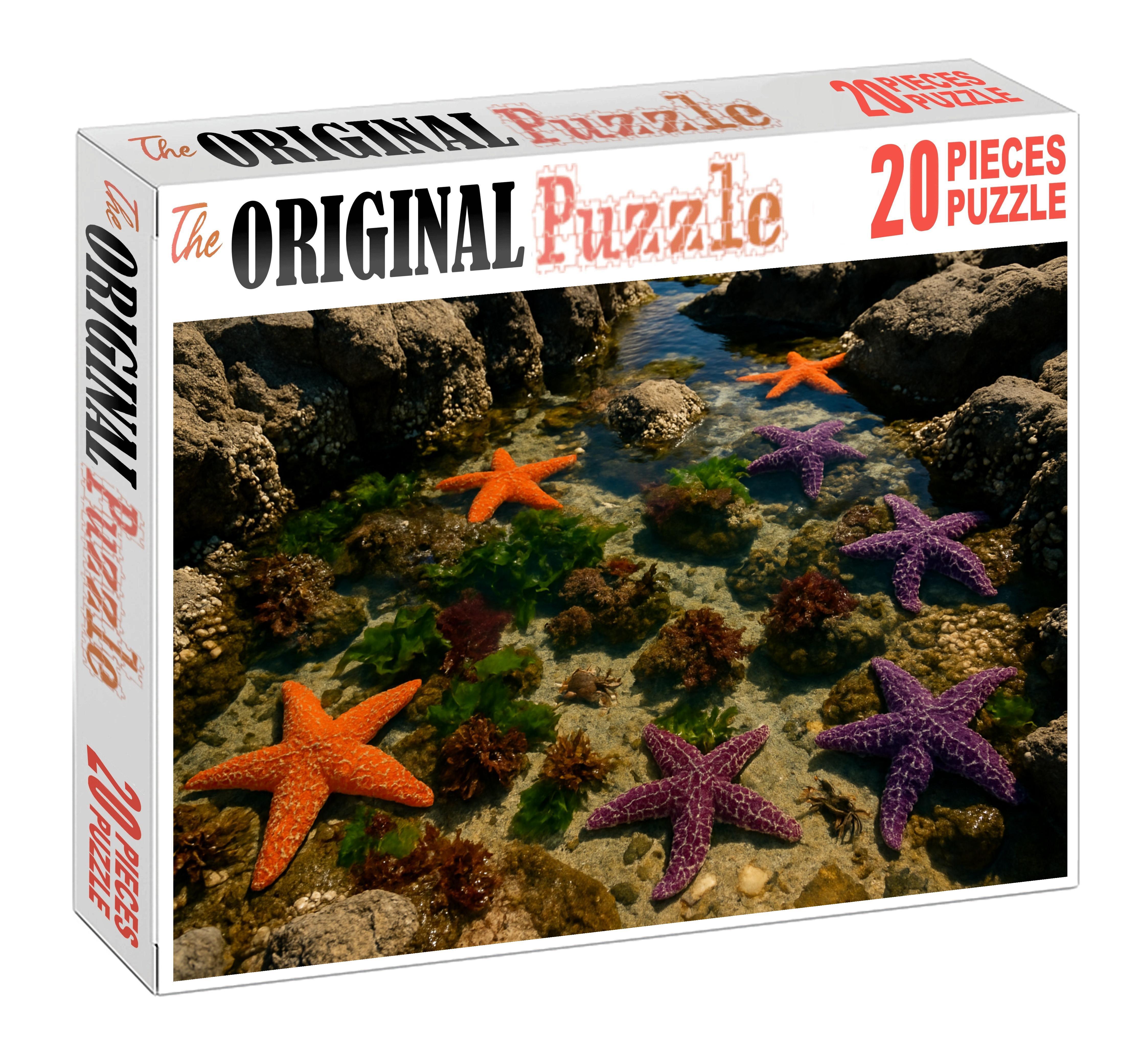 Crystal Tide Pools Rocky Pools Rich With Intertidal Creatures 50 Piece Puzzle
