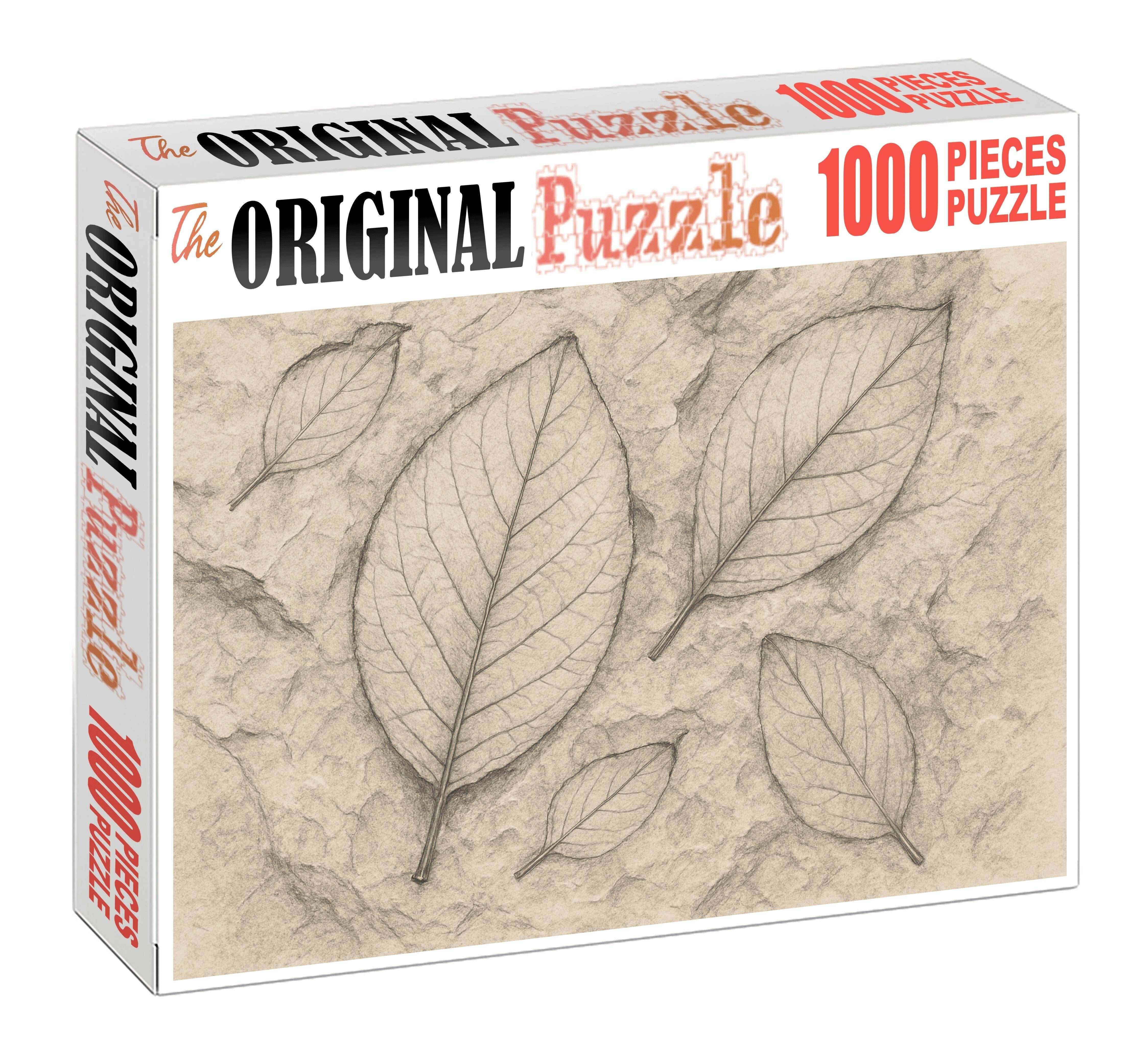 Fossil Imprint Study Graphite And Ink Wash Textural Contrast Puzzle Challenge