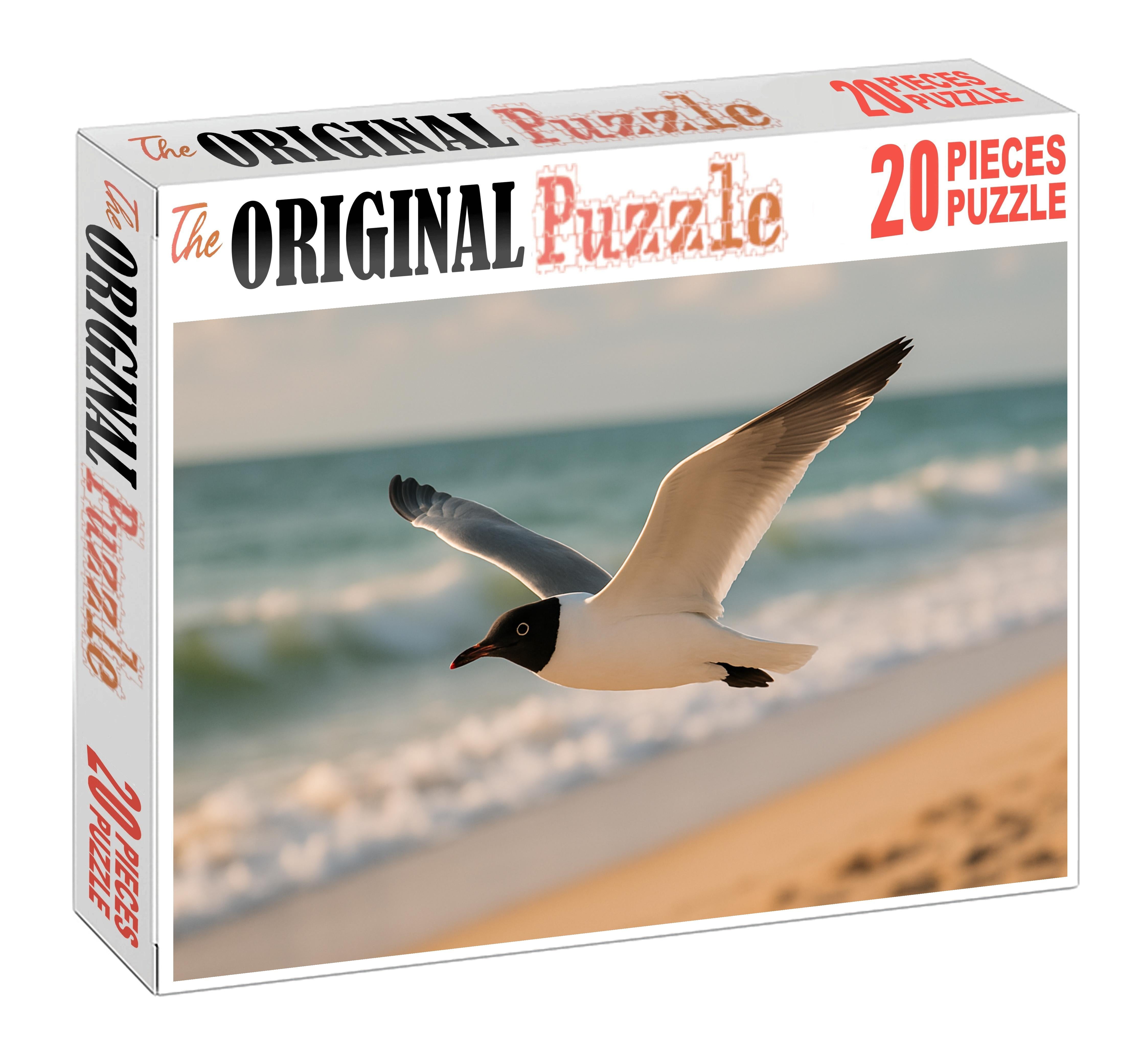 Black-headed Gull Coastal Vigilant Forager Challenging Puzzles