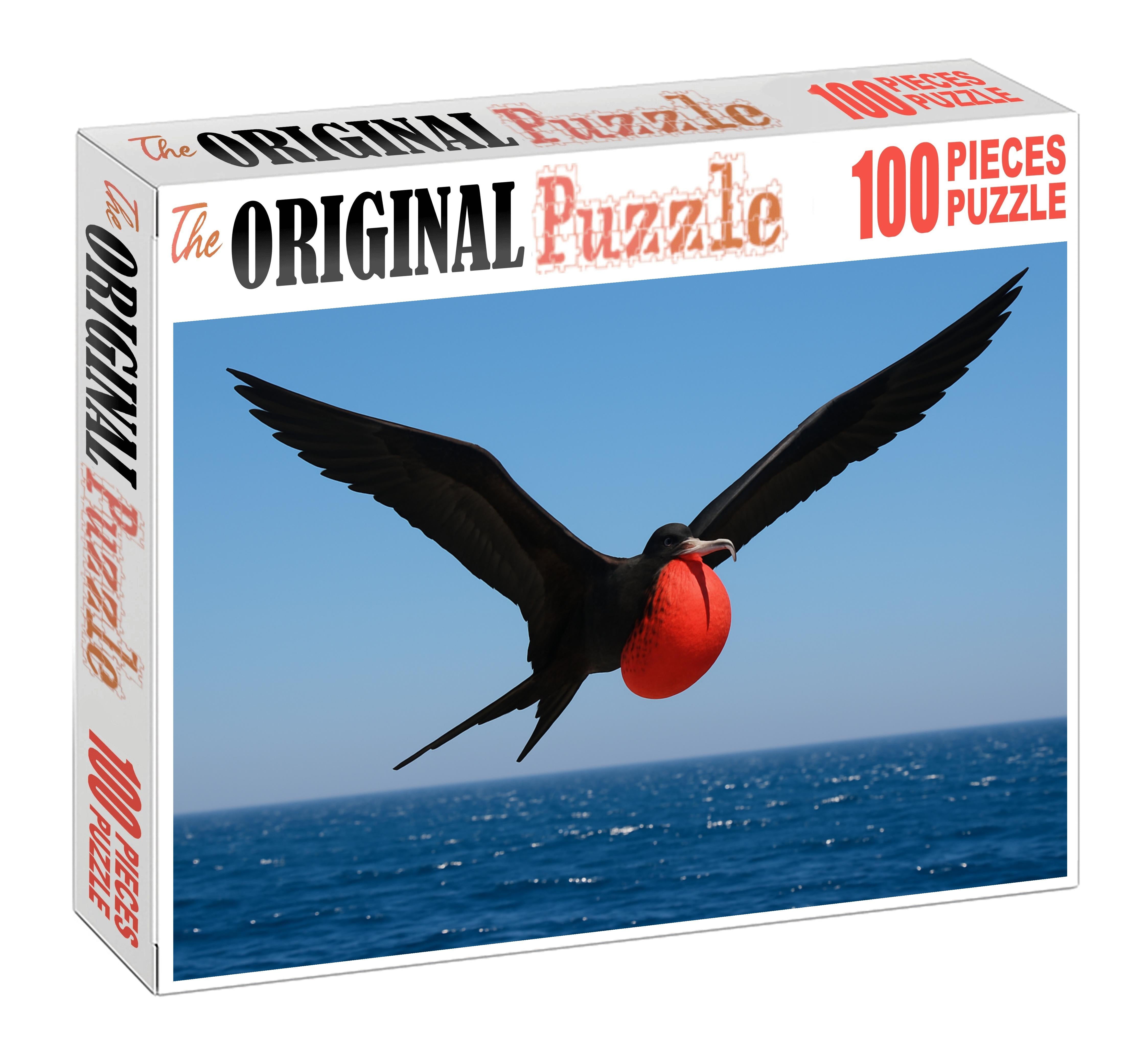 Magnificent Frigatebird Master Of The Coastal Skies Puzzle Challenge