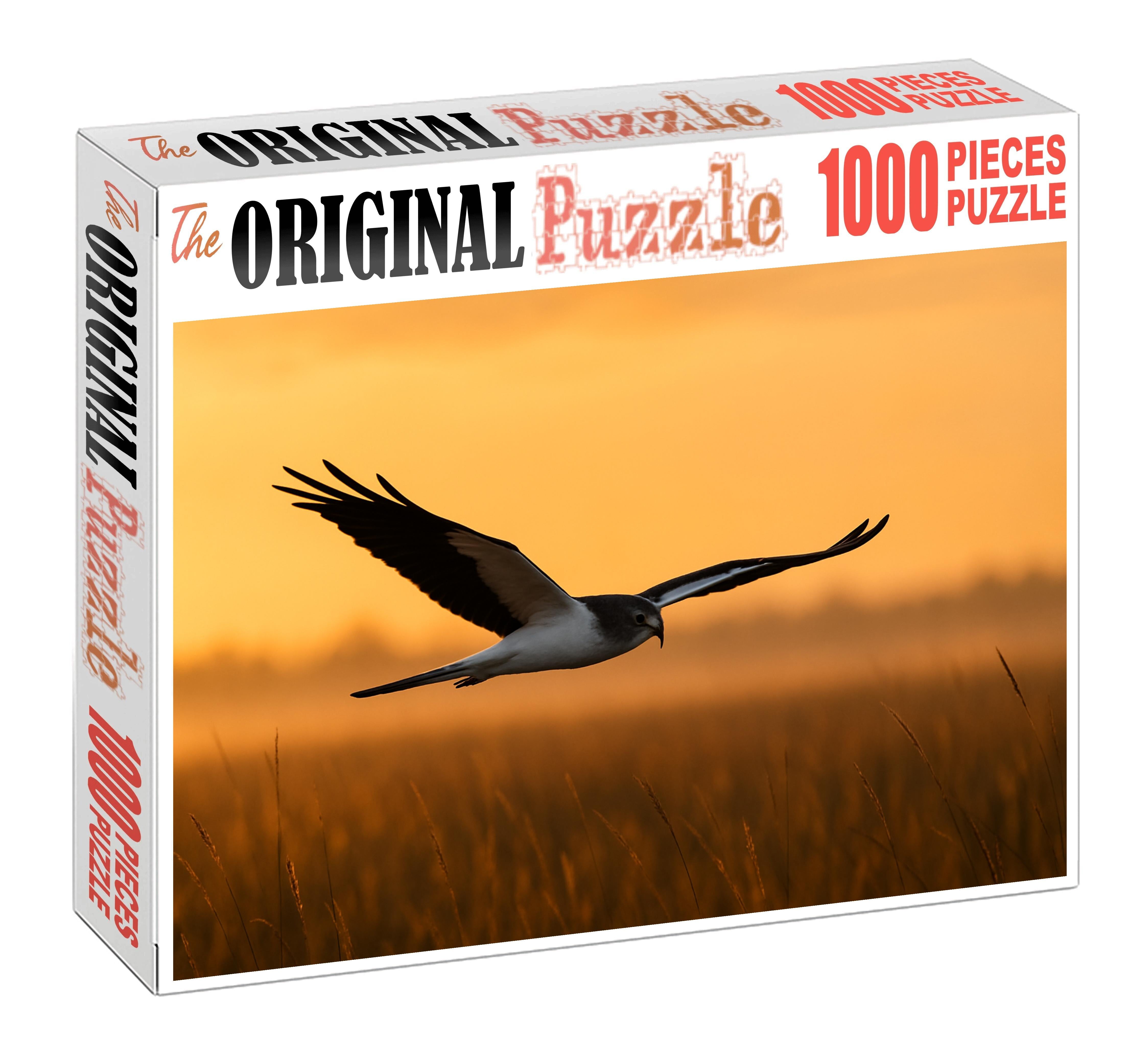 Pied Harrier Graceful Marsh Hunter 50 Piece Puzzle