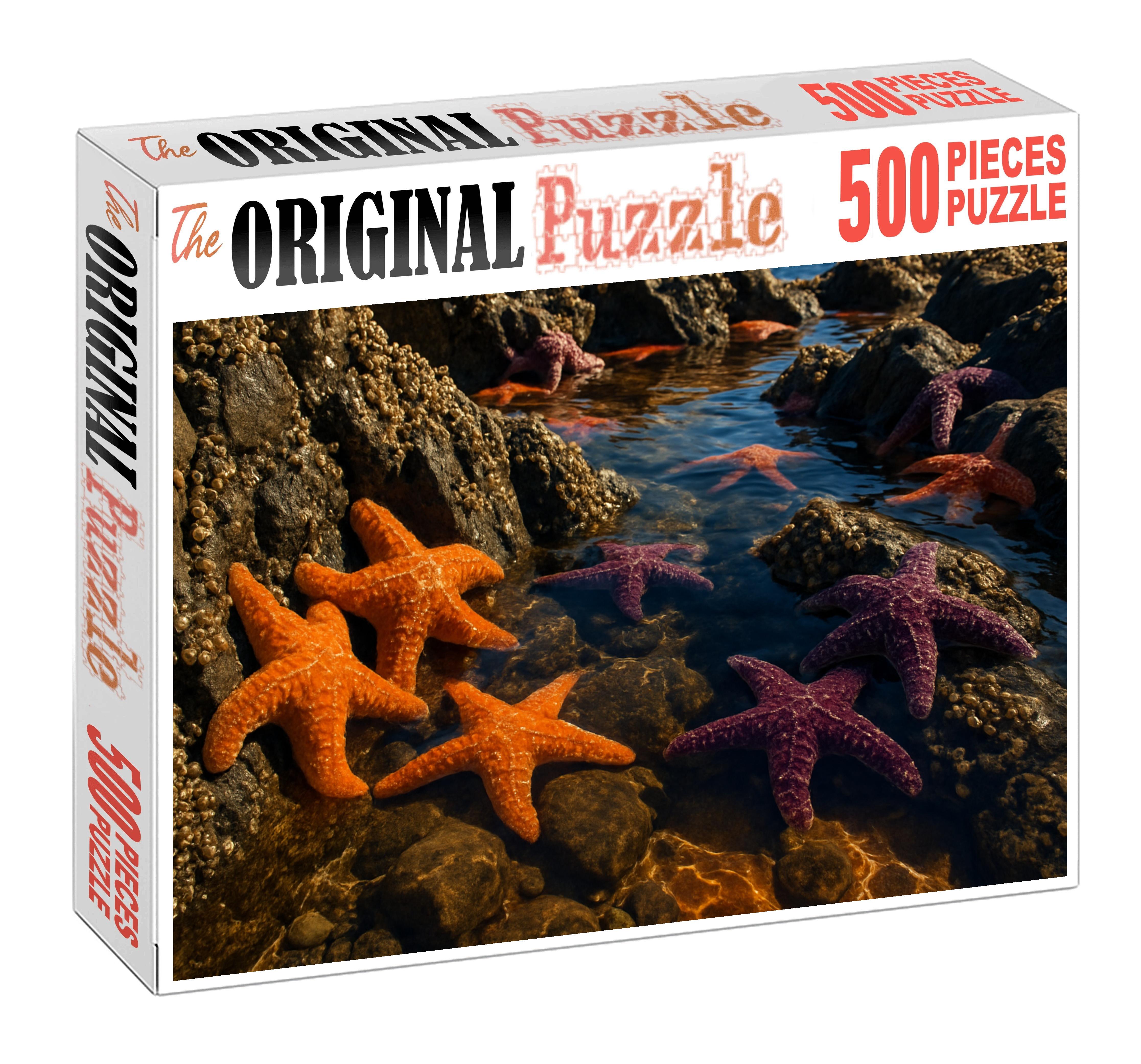 Golden Tide Pools Sun-warmed Rocky Basins Brimming With Life Challenging Puzzles