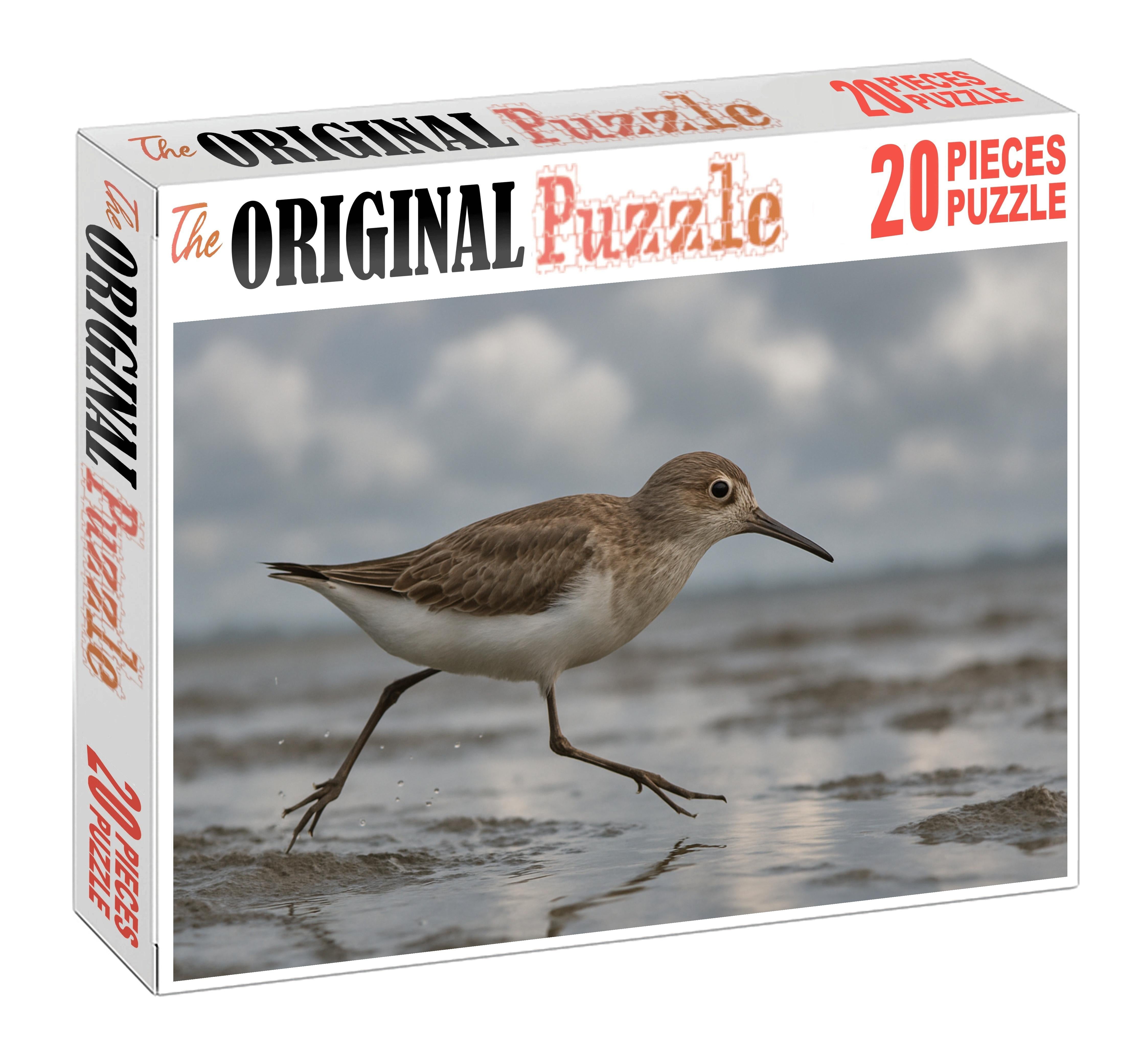 White-rumped Sandpiper Agile Shoreline Specialist Puzzle Fun
