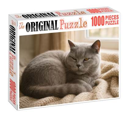 Velvet Dawn Plush Grey Medium Hair With Affectionate Heart Puzzle Challenge