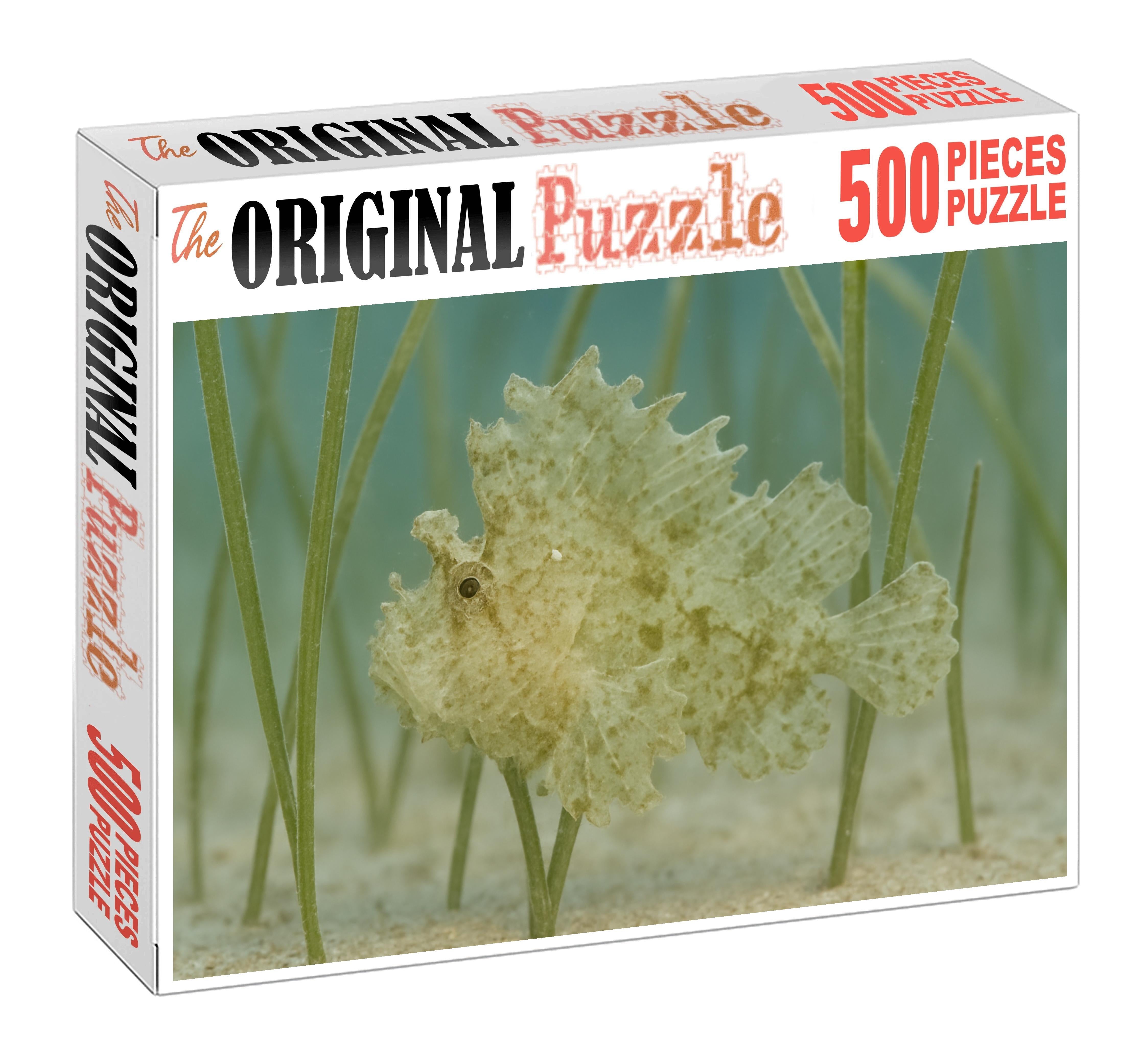 Ghost Pipefish Elusive Mimic With Leaflike Appendages Challenging Puzzles