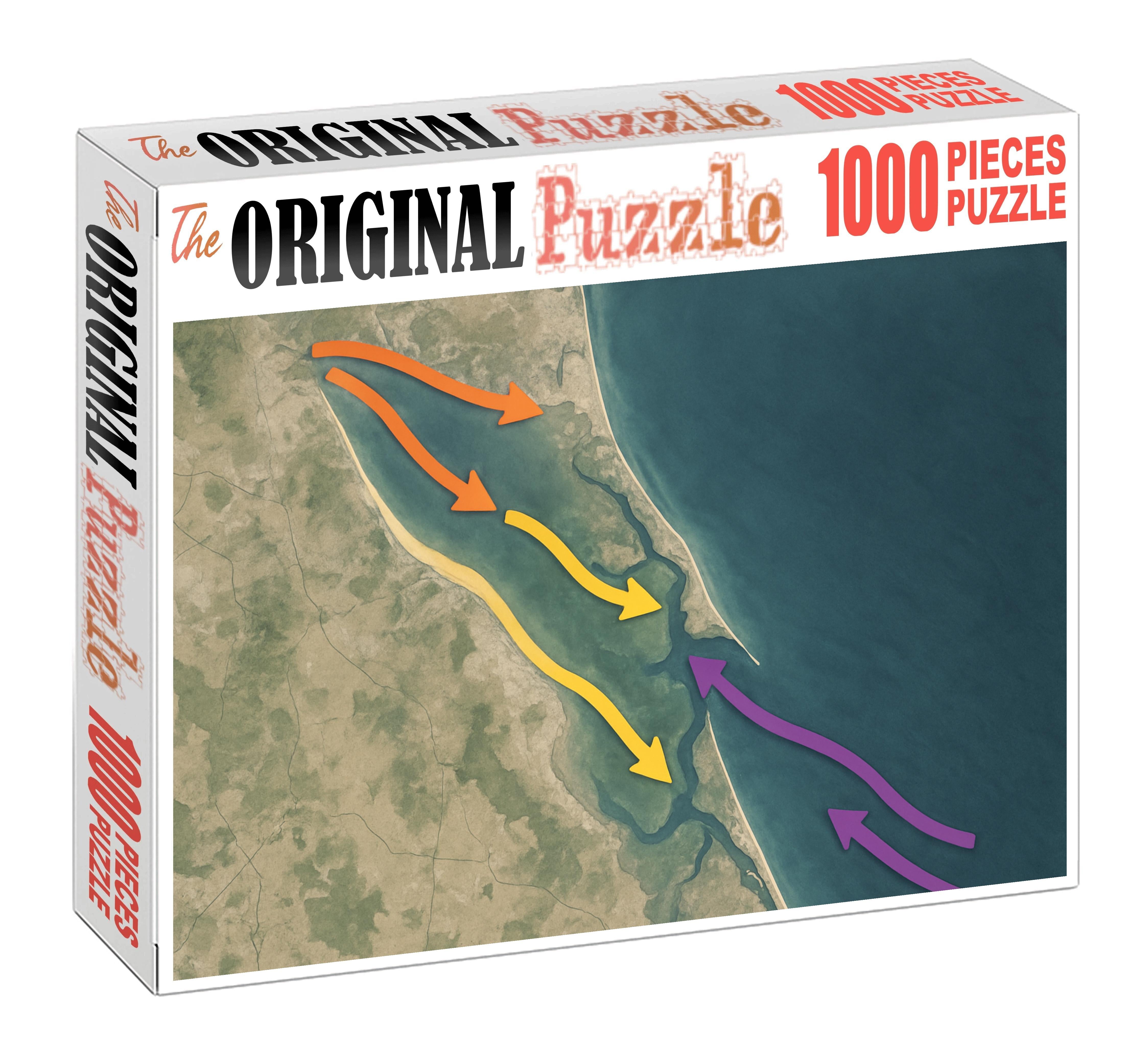 Coastal Sediment Transport Flow Puzzle Collection