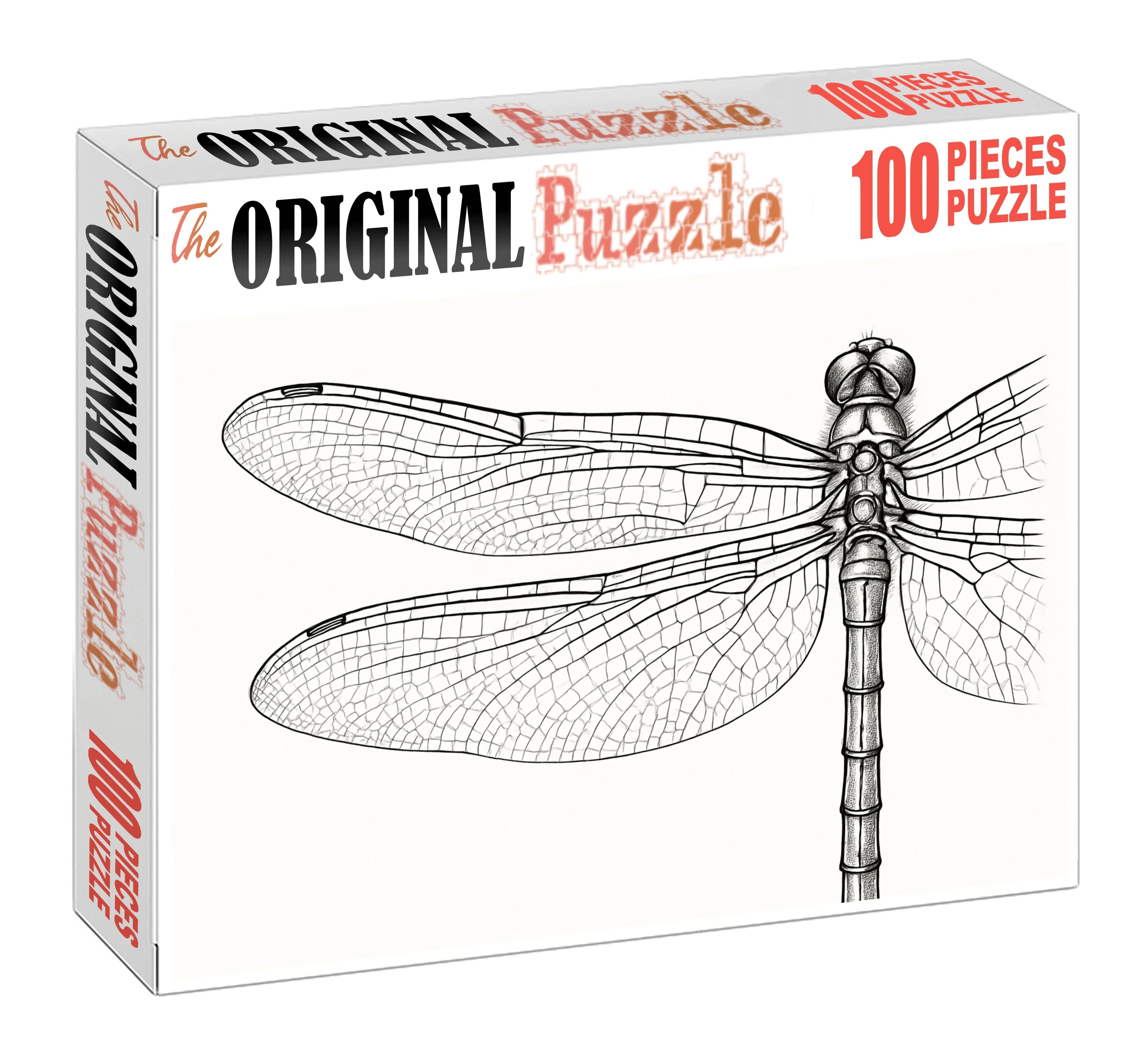 Delicate Insect Anatomy Fine Ink Study Of A Dragonfly Challenging Puzzles