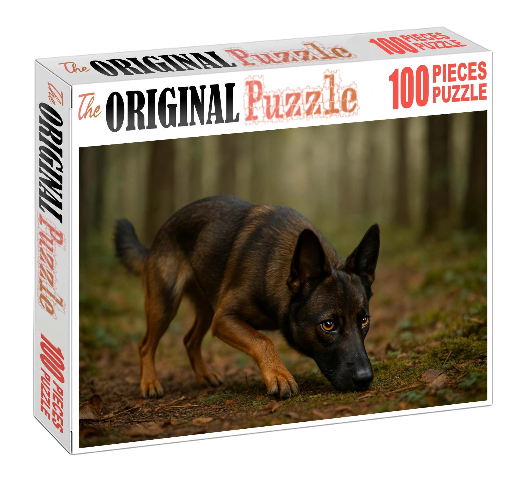 Shadow Sable Compact Dark-coated Tracker With Steadfast Focus Puzzle For Kids