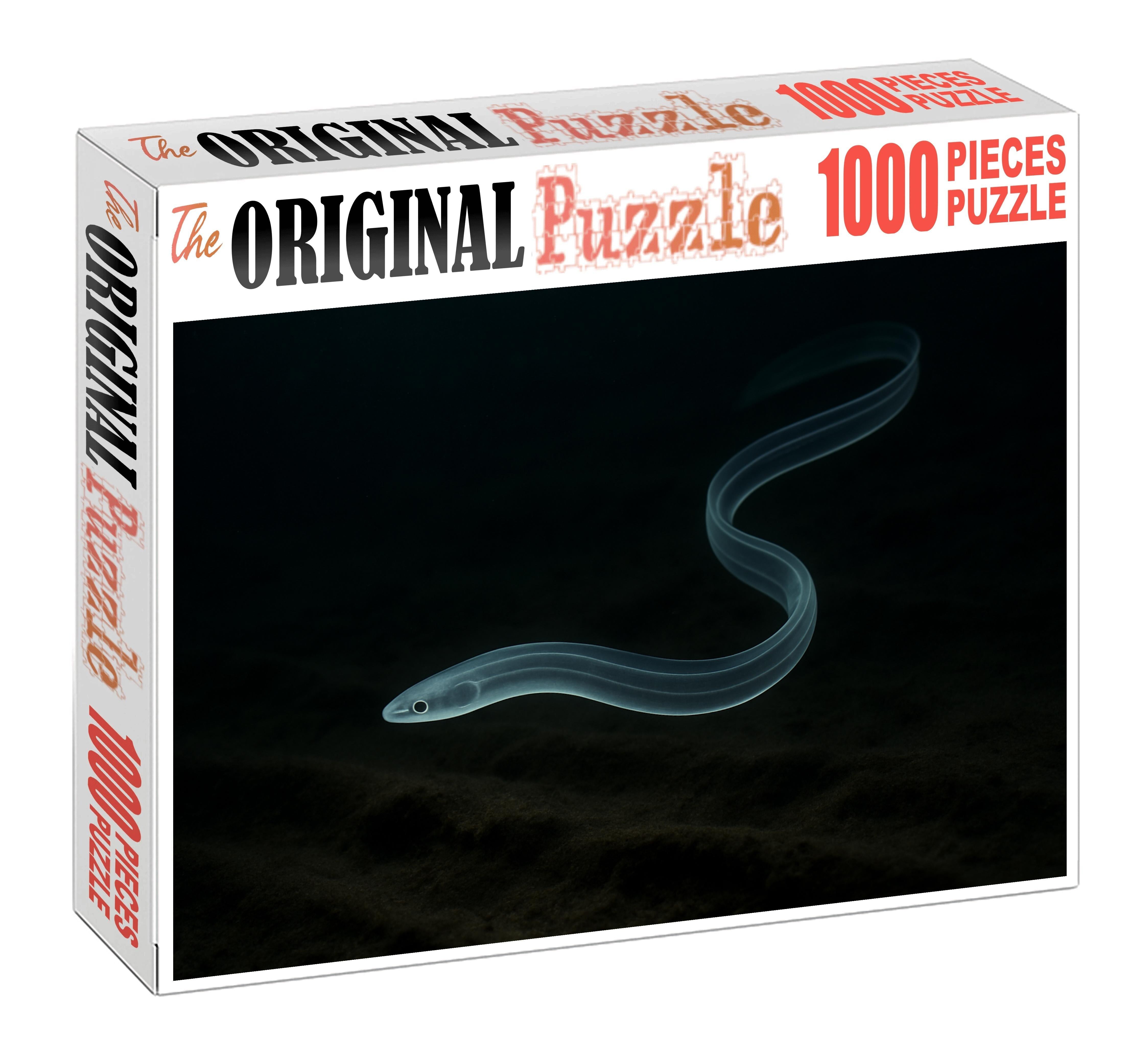 Midnight Glass Eel Elusive Juvenile Drifter Challenging Puzzles