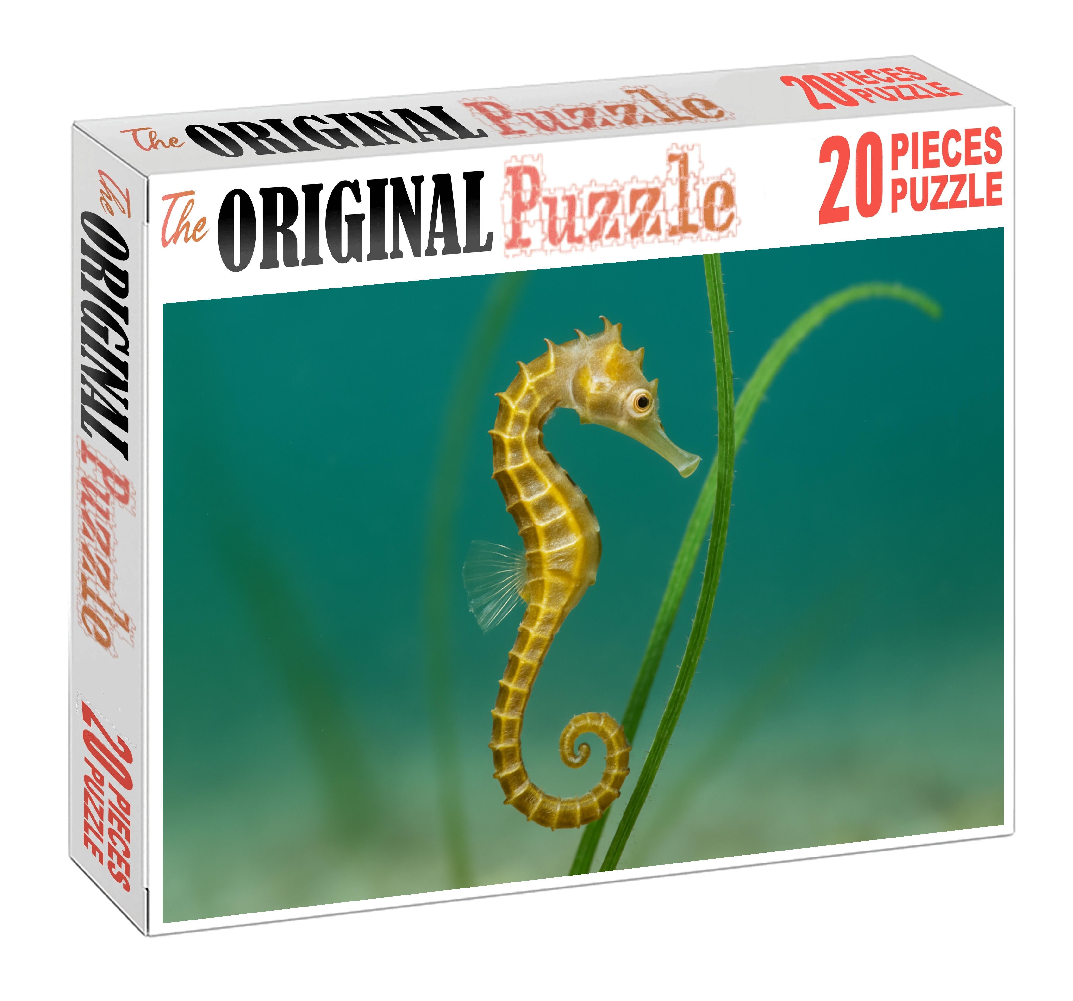 Golden-banded Seahorse 20 Piece Puzzle