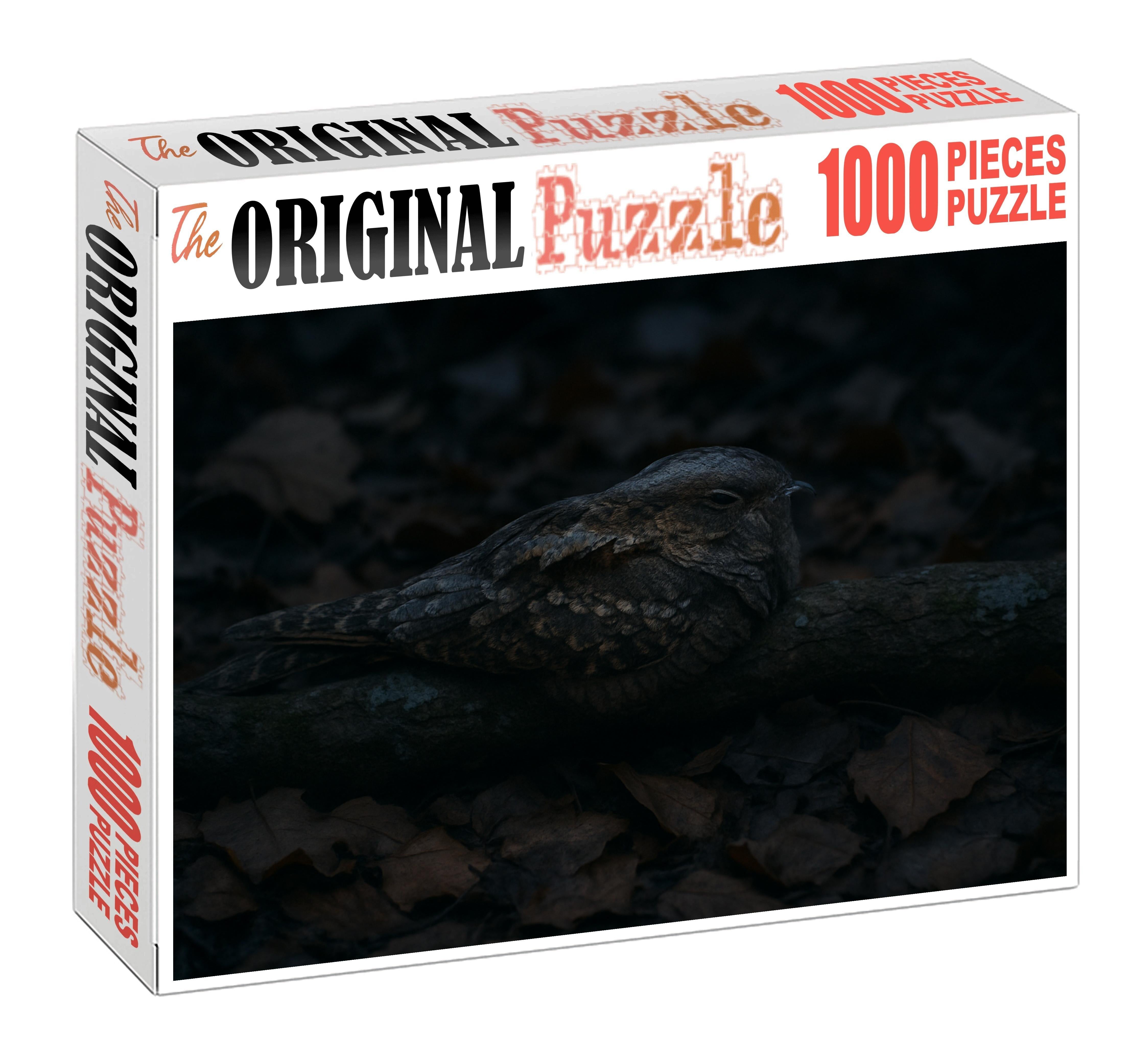 Ivory-billed Nightjar Master Of Twilight Camouflage Puzzle Fun
