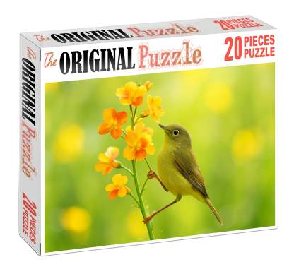Olive-backed Sunbird Tiny Nectar Collector Challenging Puzzles