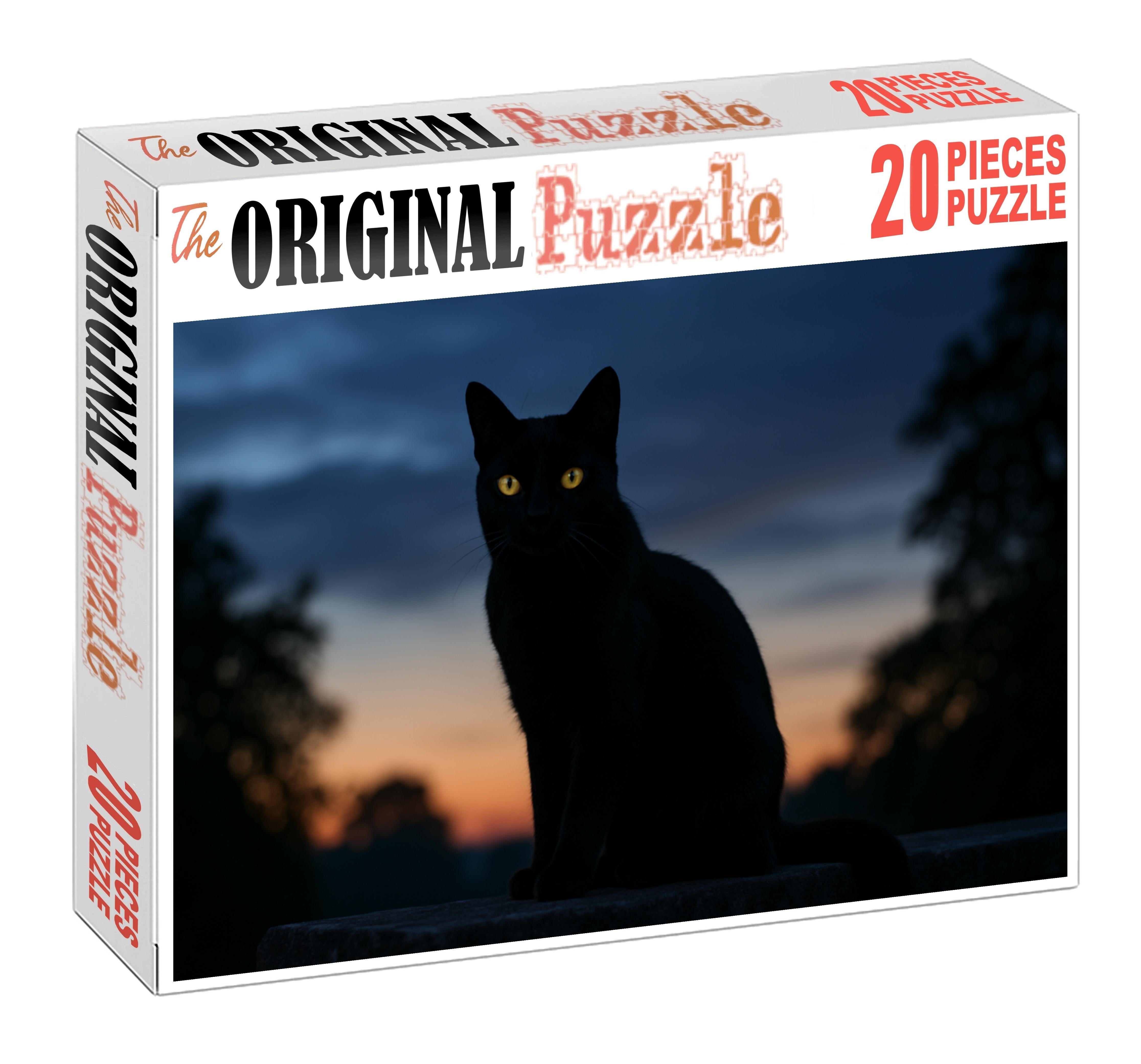 Shadow Whisper Midnight Coat With Mysterious Poise Mini Puzzle