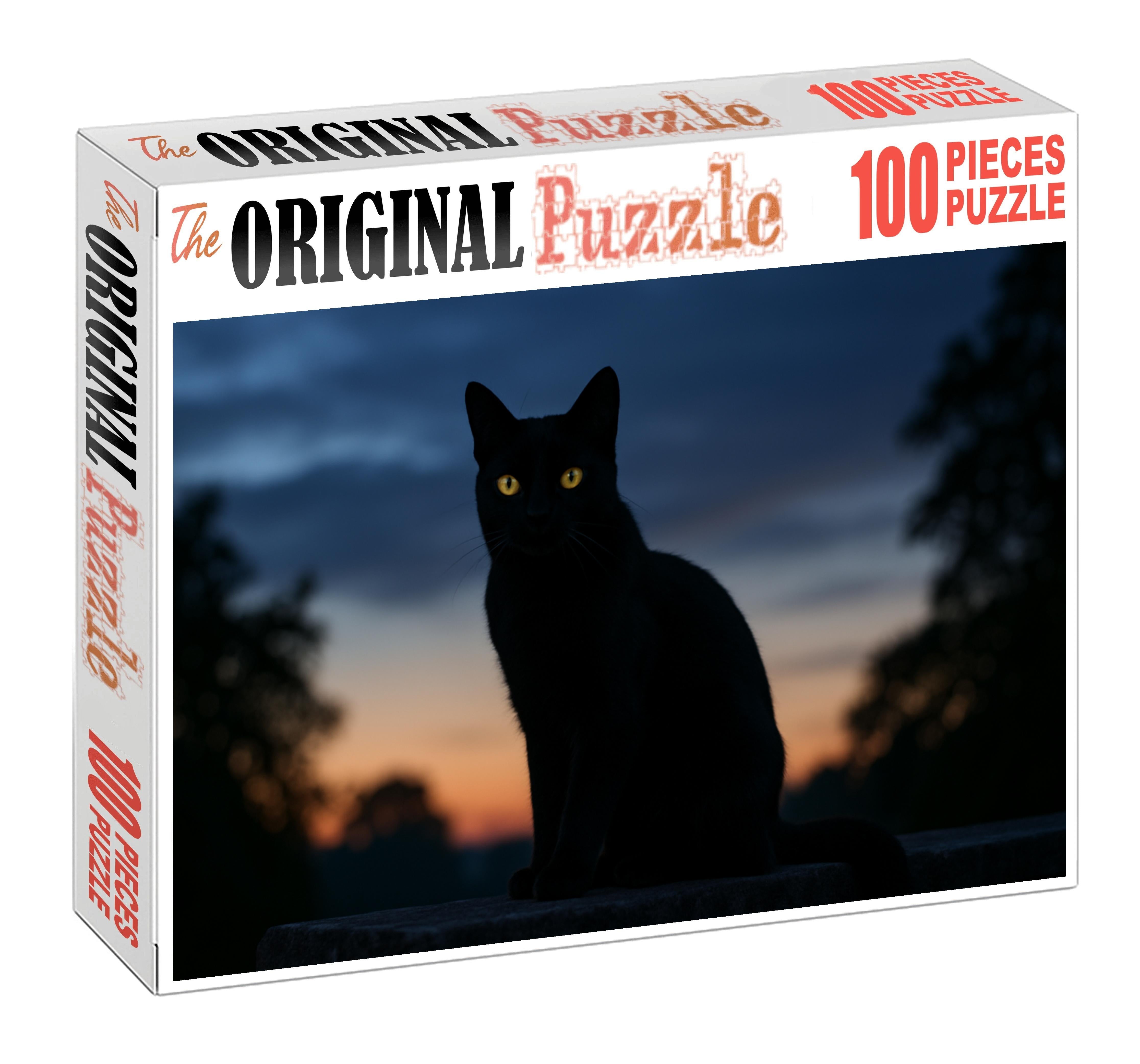 Shadow Whisper Midnight Coat With Mysterious Poise Mini Puzzle