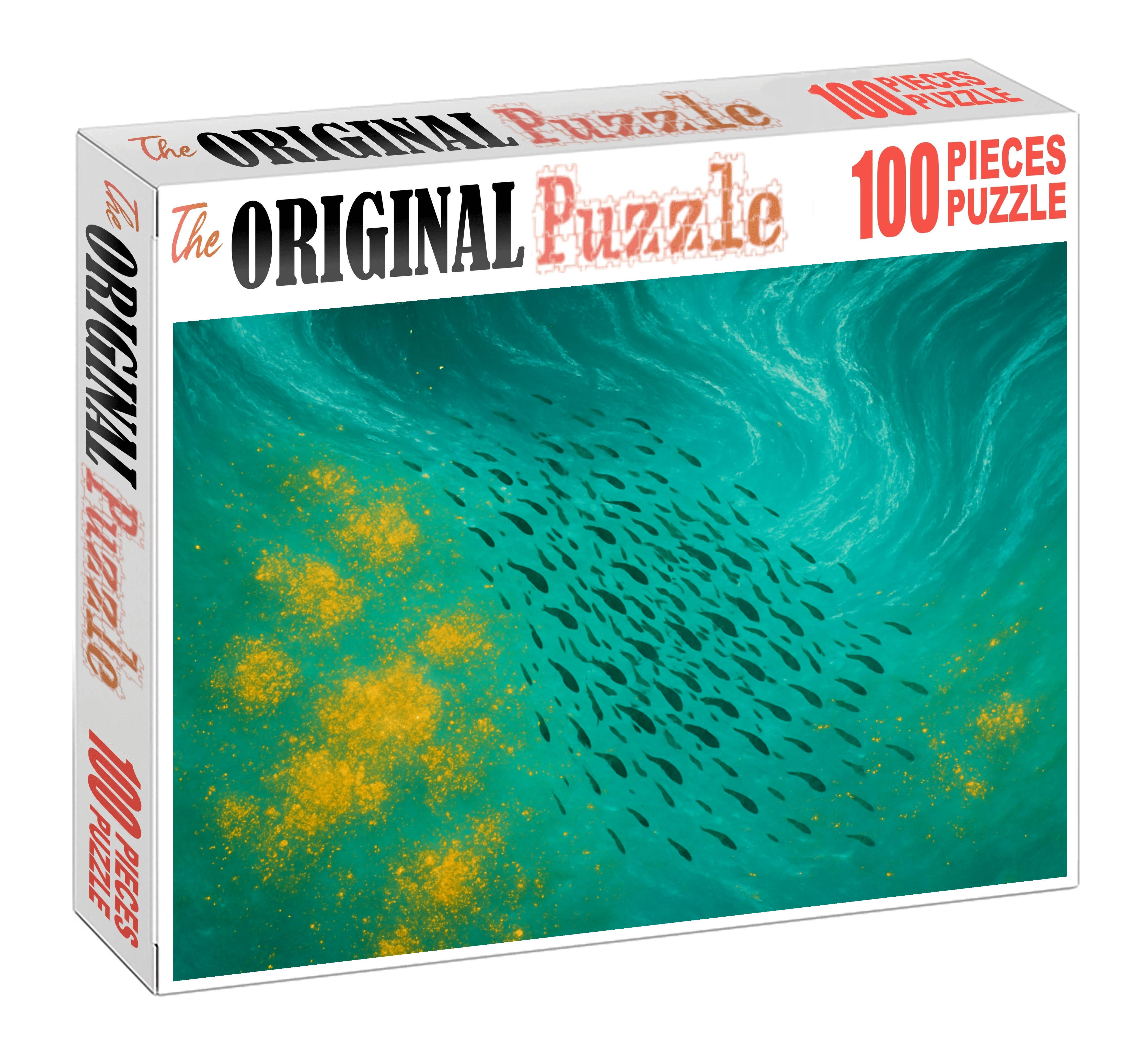 Nutrient-rich Upwelling Front Puzzle Fun