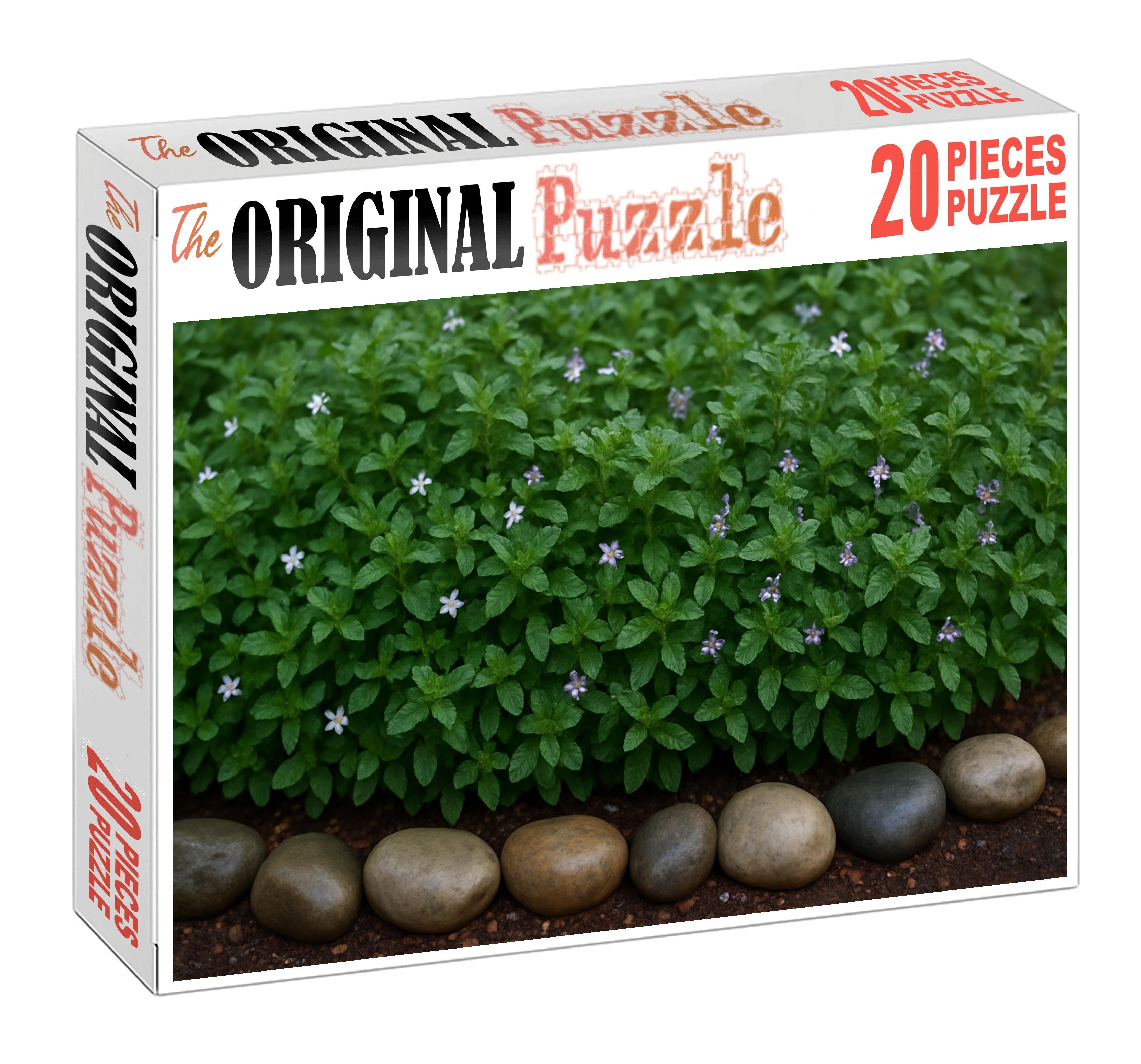Verdant Herb Border Puzzle Challenge