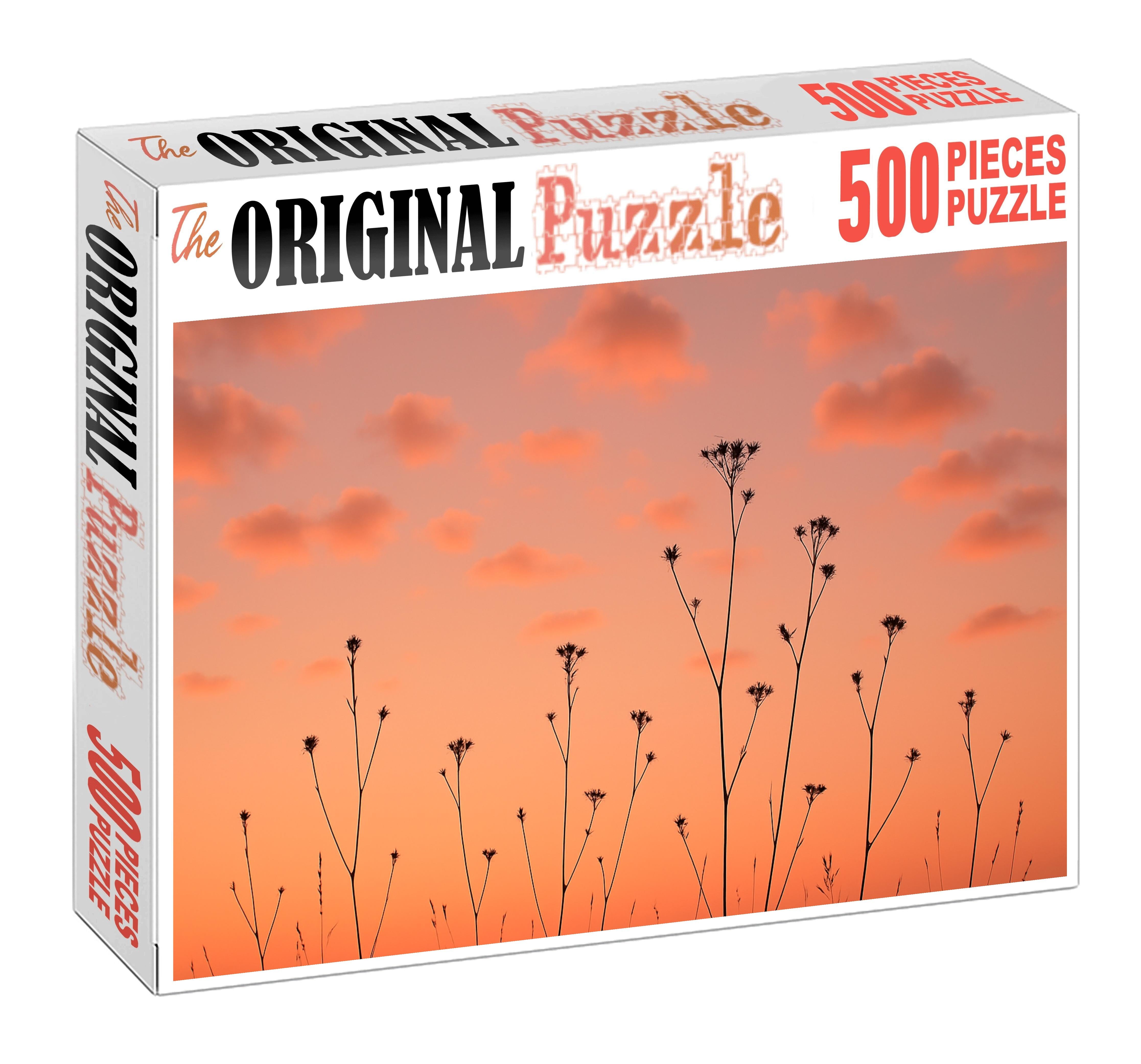 Coral Serenade Skies Puzzle For Kids