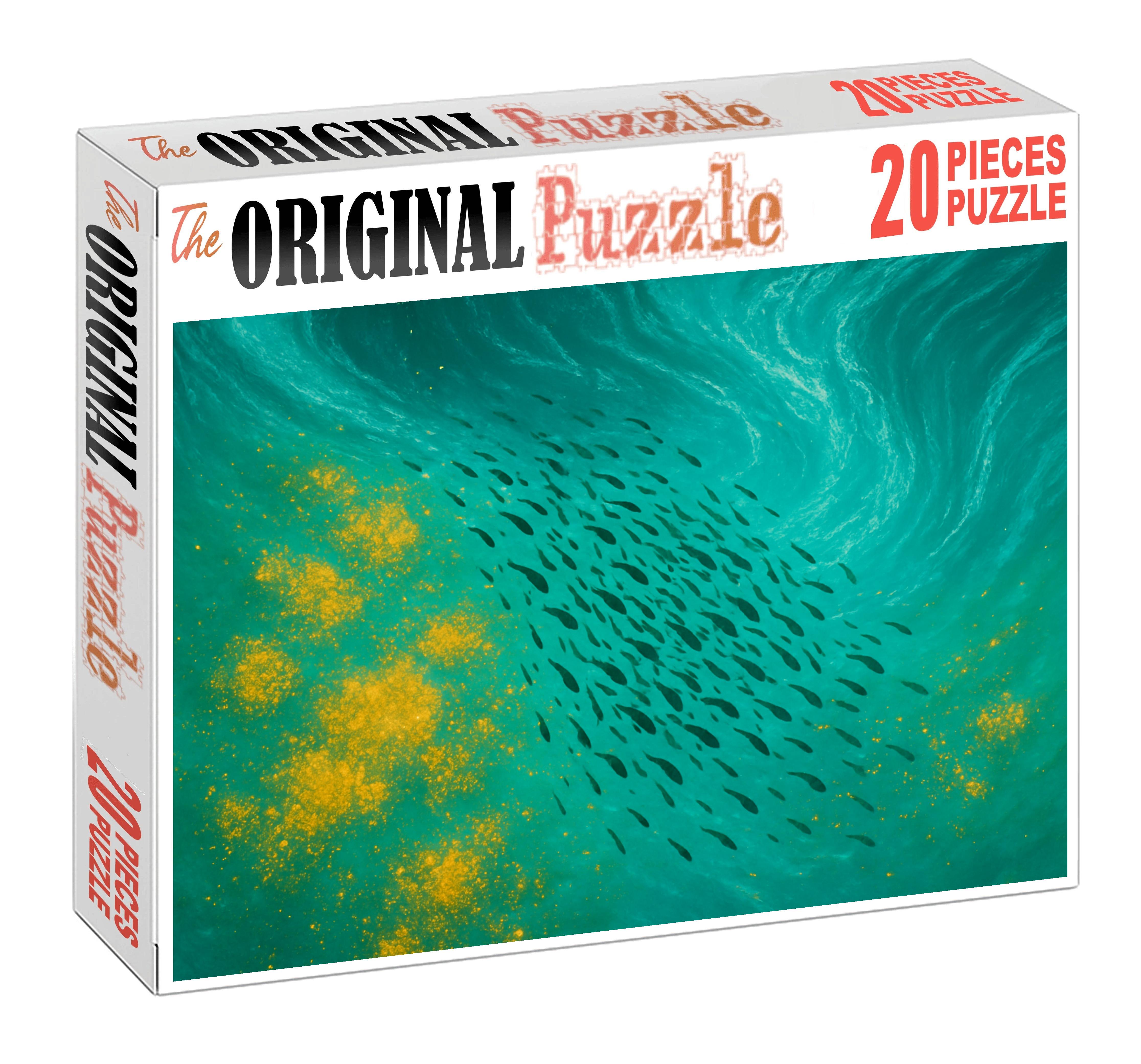 Nutrient-rich Upwelling Front Puzzle Fun