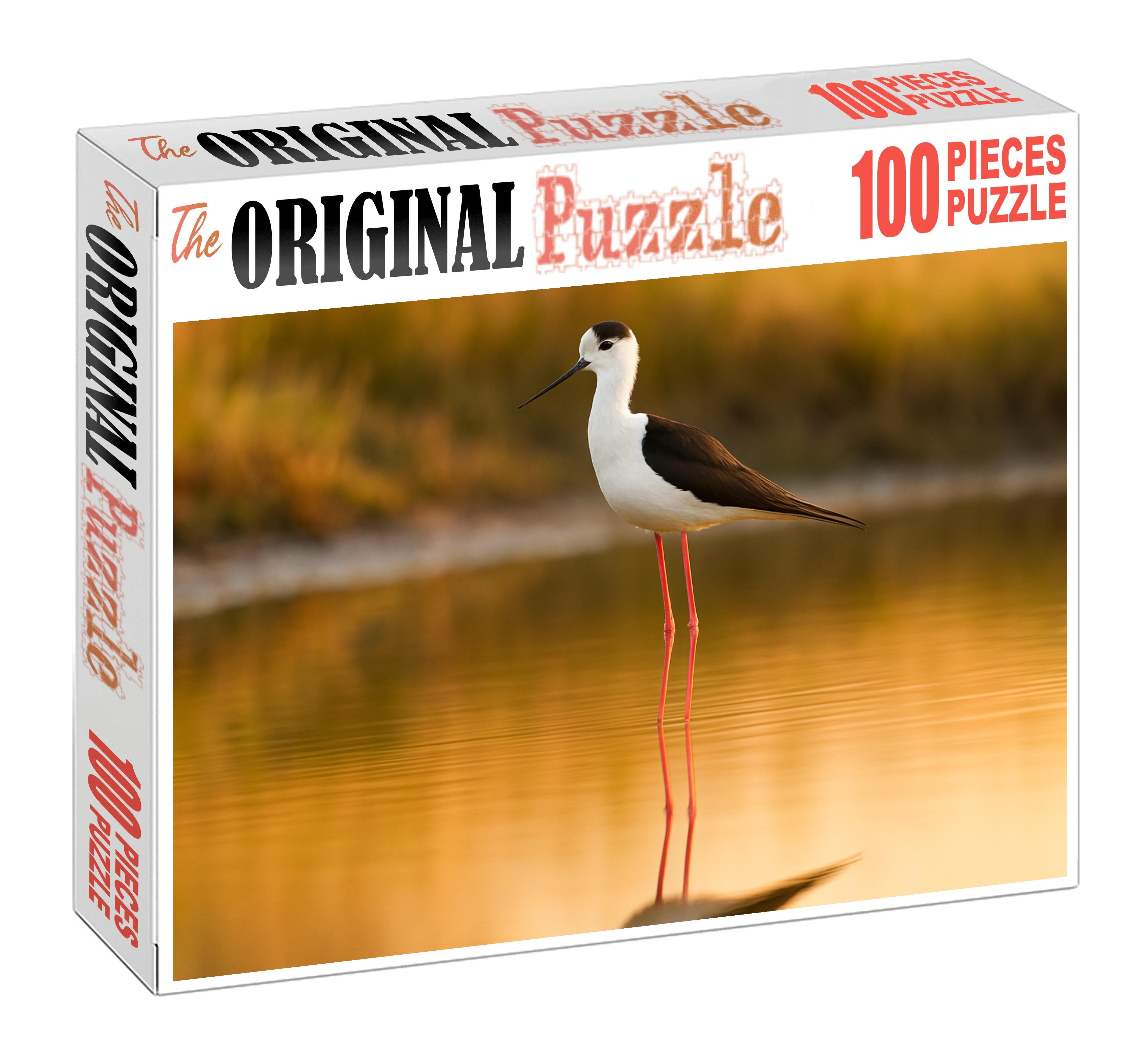 Black-winged Stilt Elegant Long-legged Wader Family Puzzles