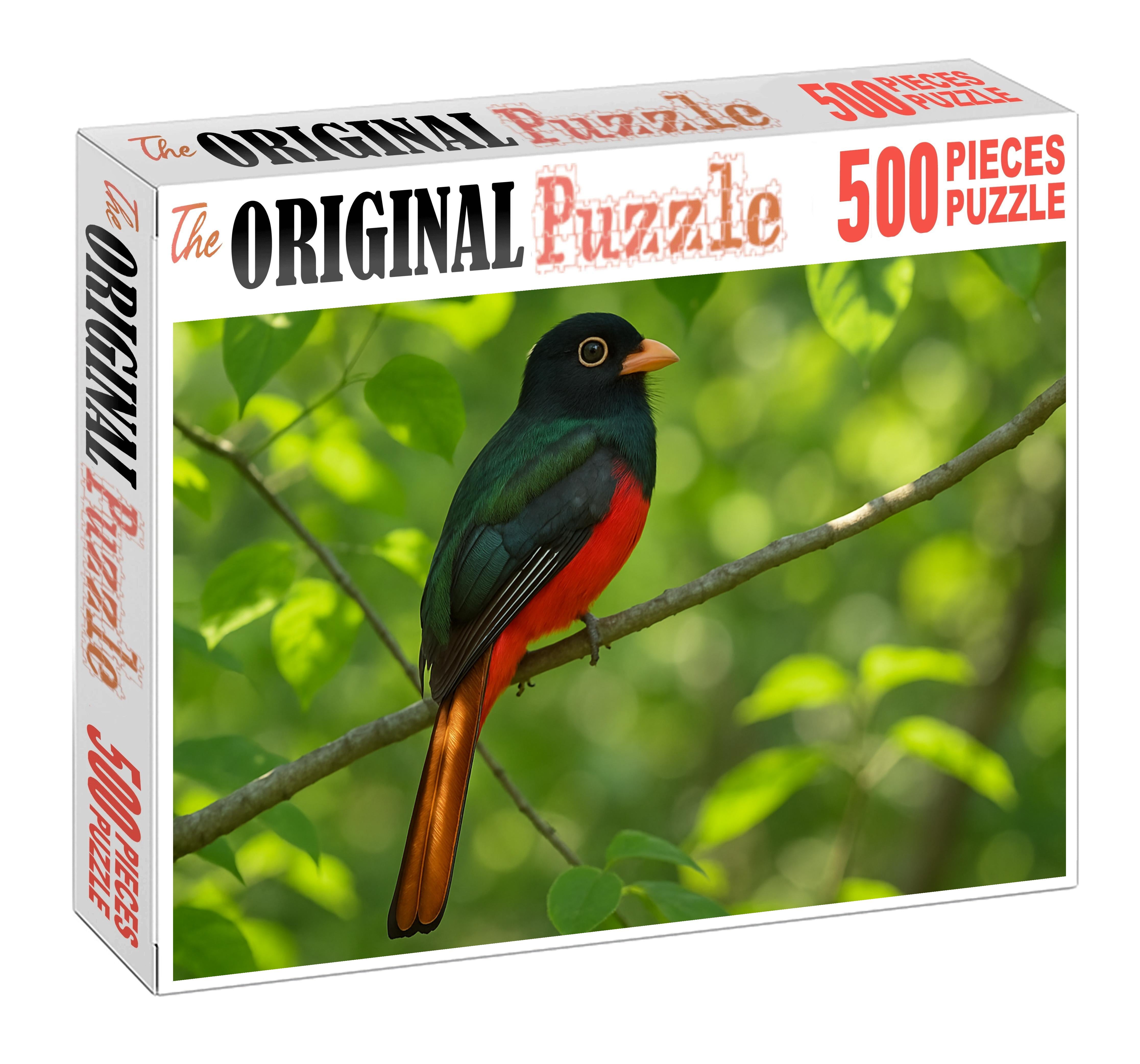 Coppery-tailed Trogon Jewel Of The Tropical Canopy Puzzle Fun