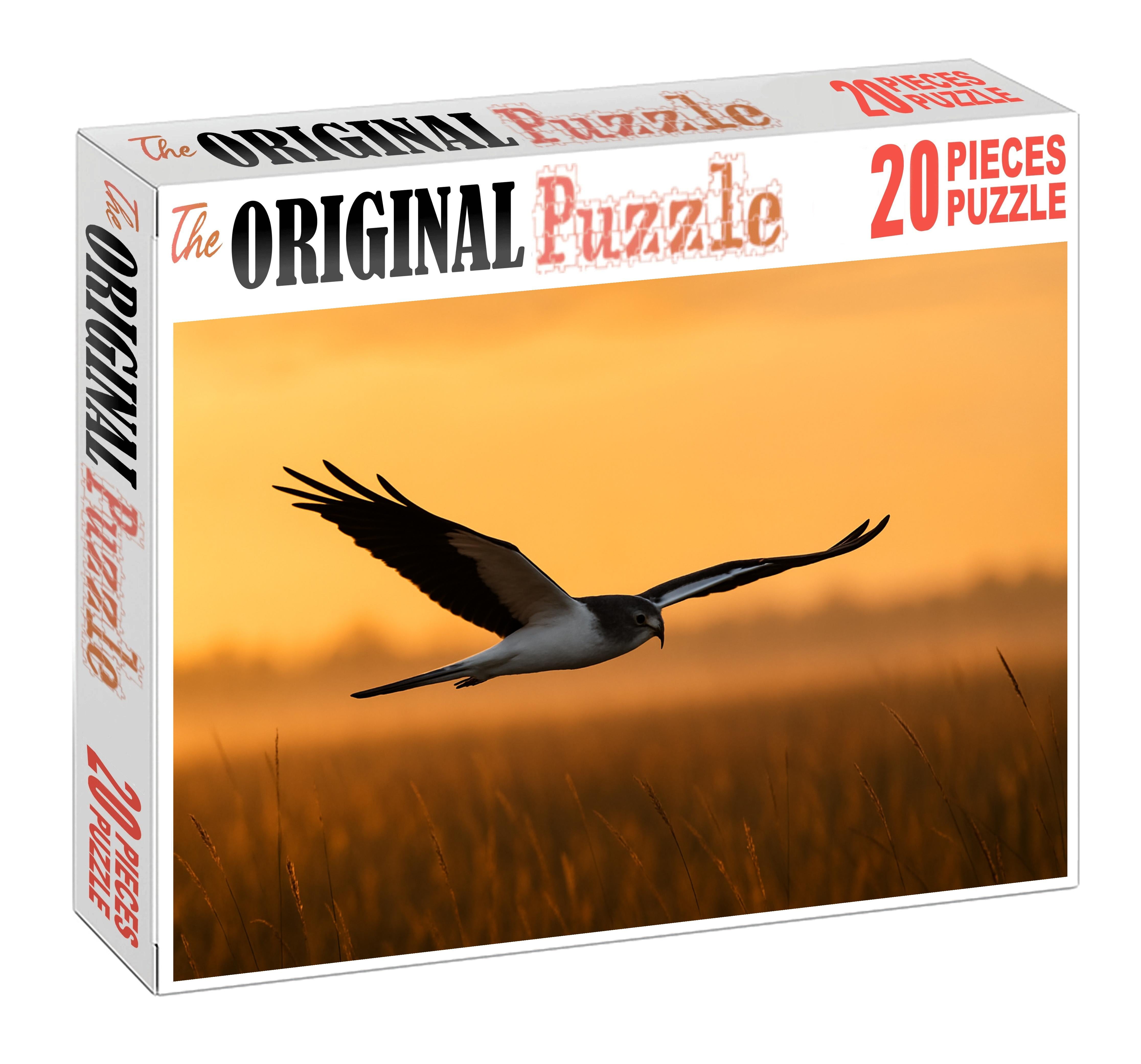 Pied Harrier Graceful Marsh Hunter 50 Piece Puzzle