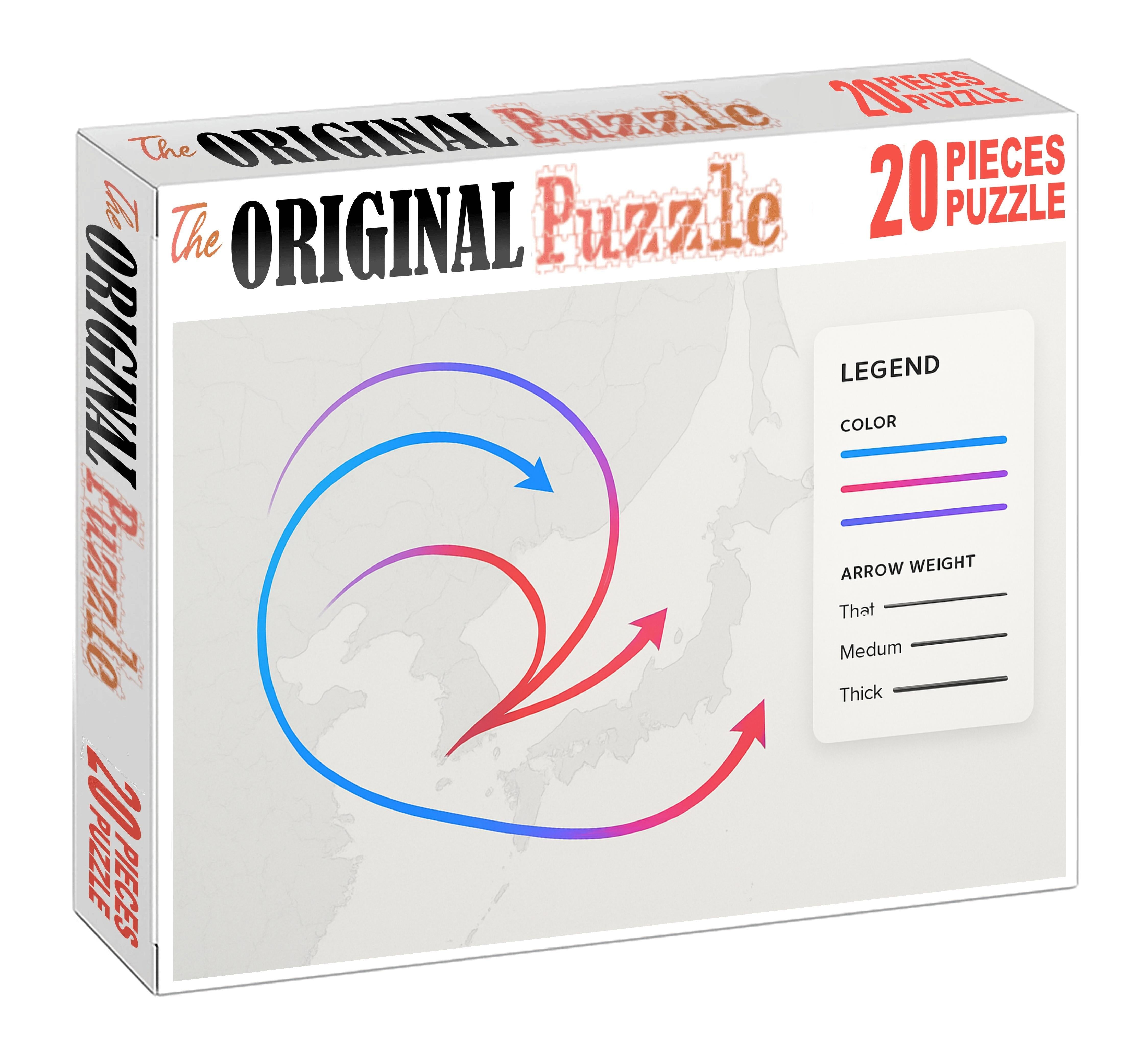 Population Mobility Flow Map Large Format Puzzle