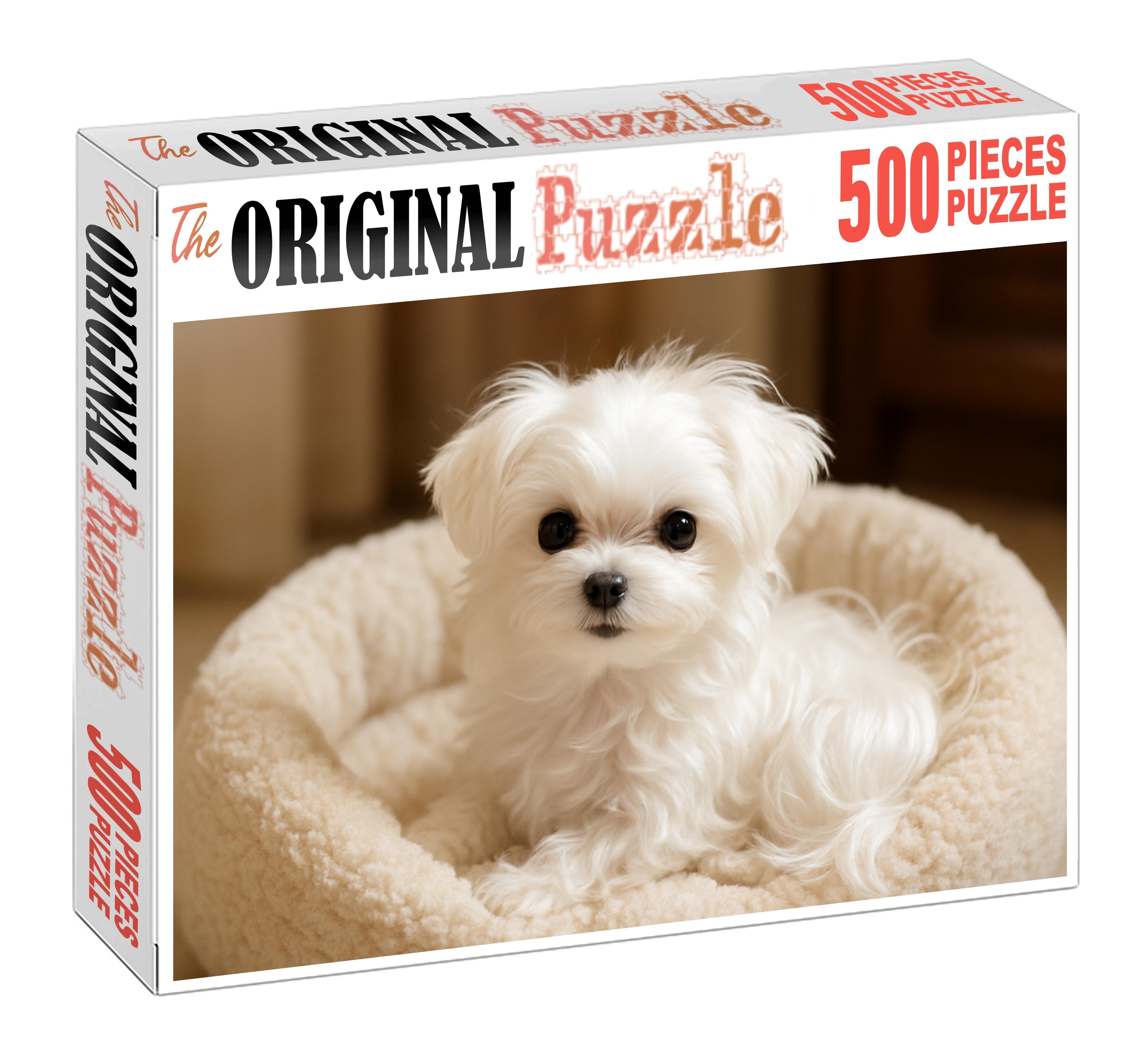 Pearl Mist Silky White Toy Breed With Playful Intelligence Puzzle For Kids