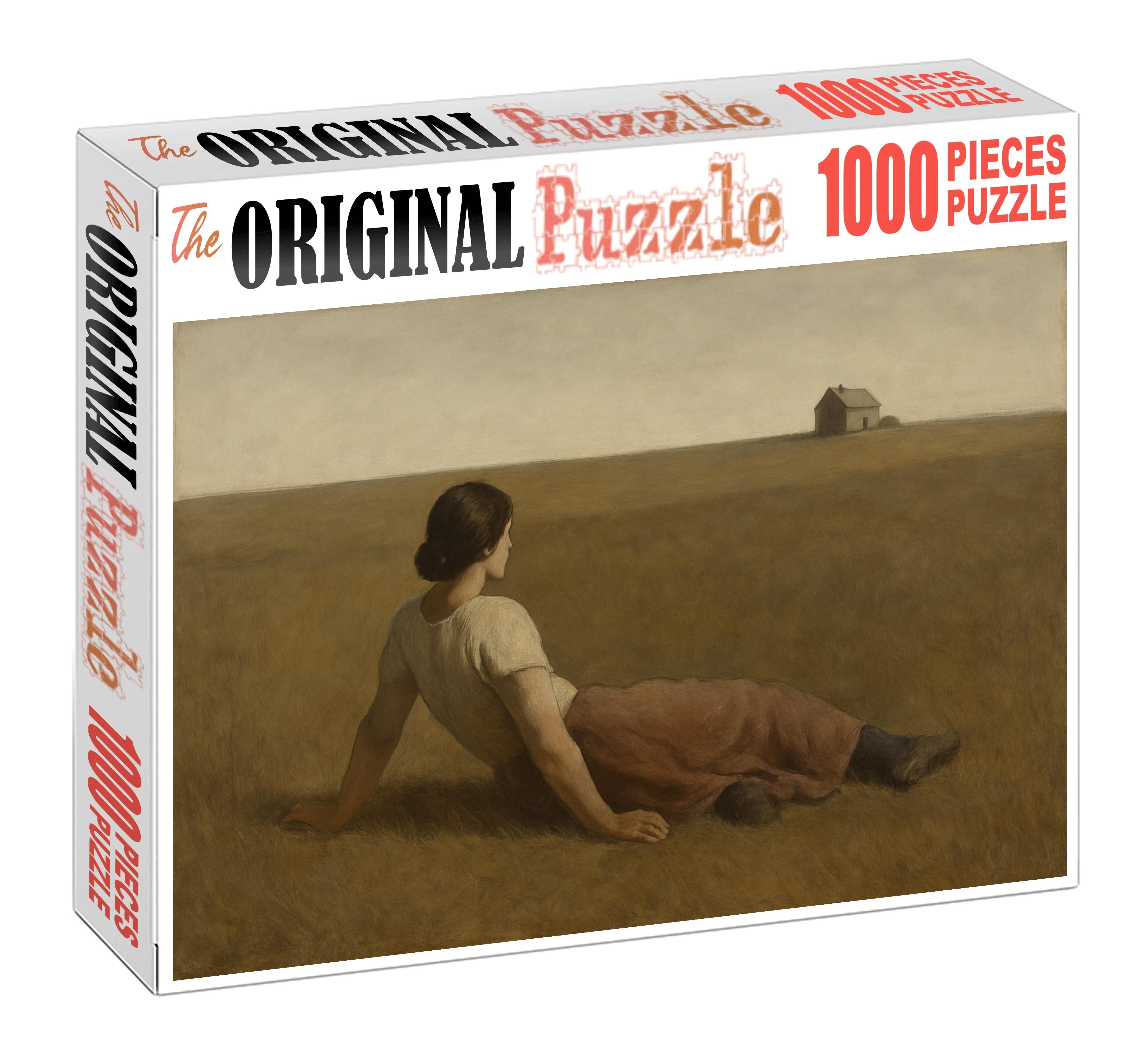 Christinas World 20 Piece Puzzle