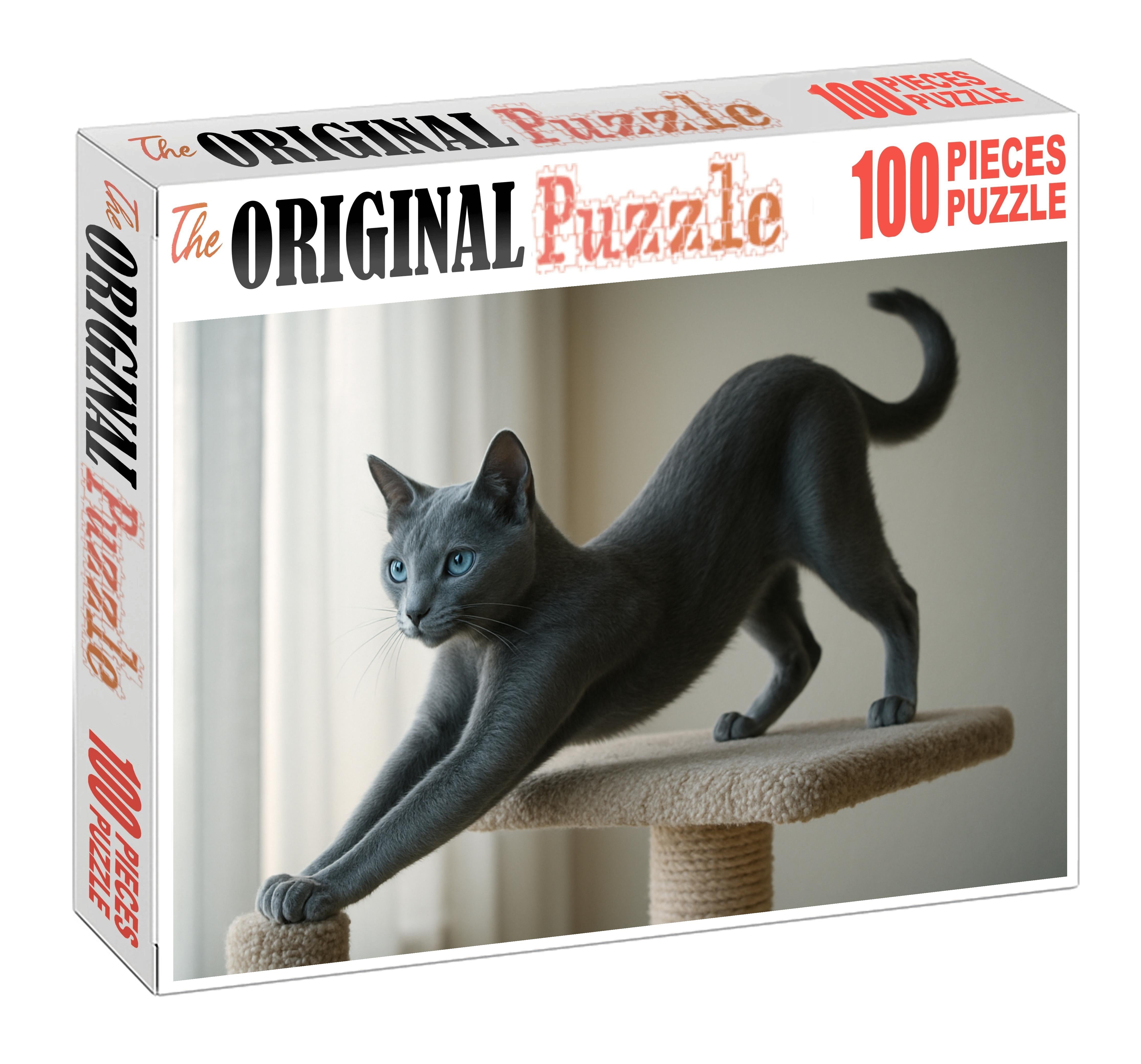 Cloud Dancer Pale Blue-gray Shortcoat With Agile Spirit Unique Puzzle Design