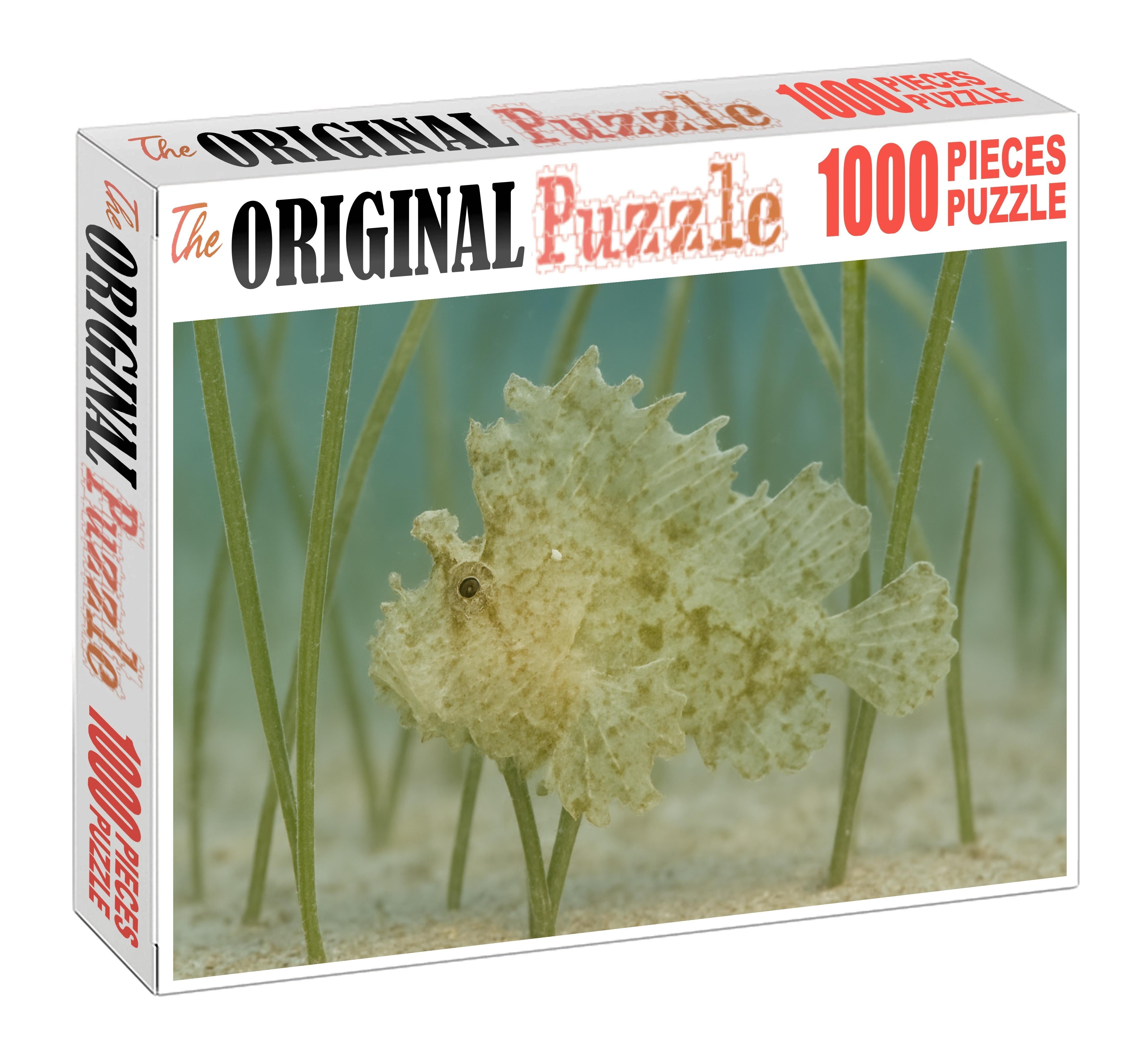 Ghost Pipefish Elusive Mimic With Leaflike Appendages Challenging Puzzles