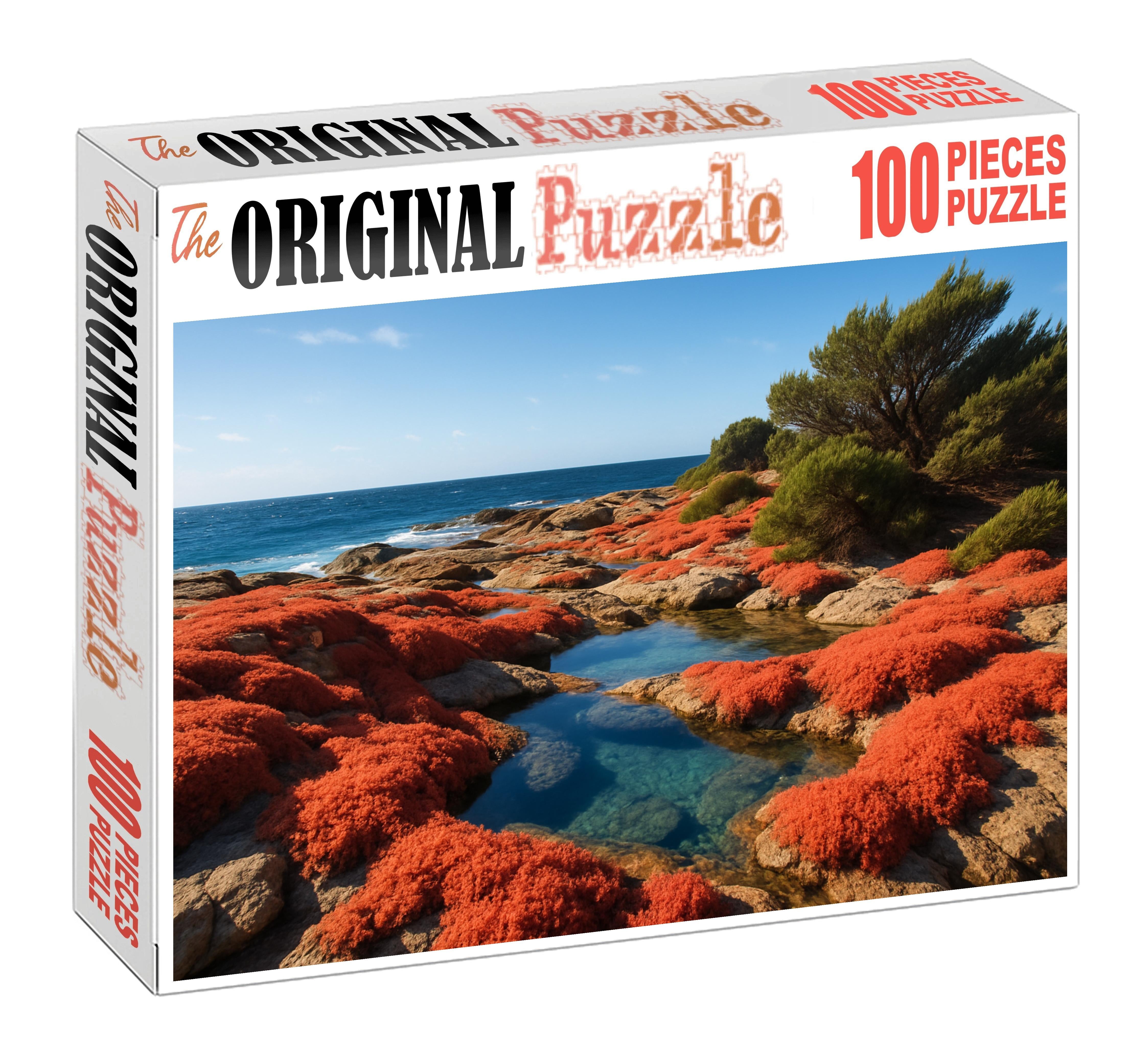 Coral Cove Tides Puzzle Challenge