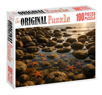 Mystic Tide Pools 100 Piece Puzzle