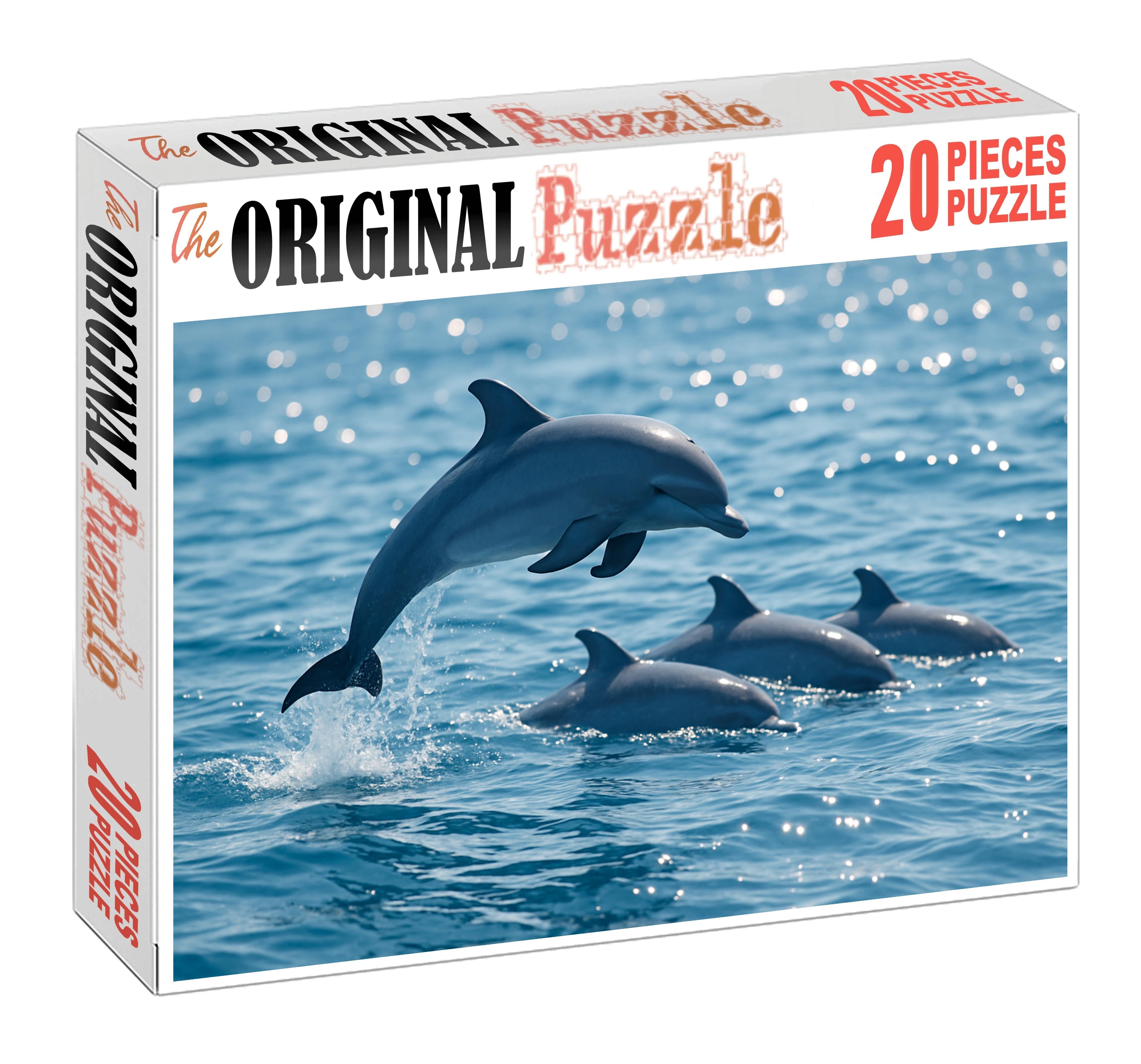 Azure Dwarf Dolphin Agile Surface Pod Member Easy Puzzles