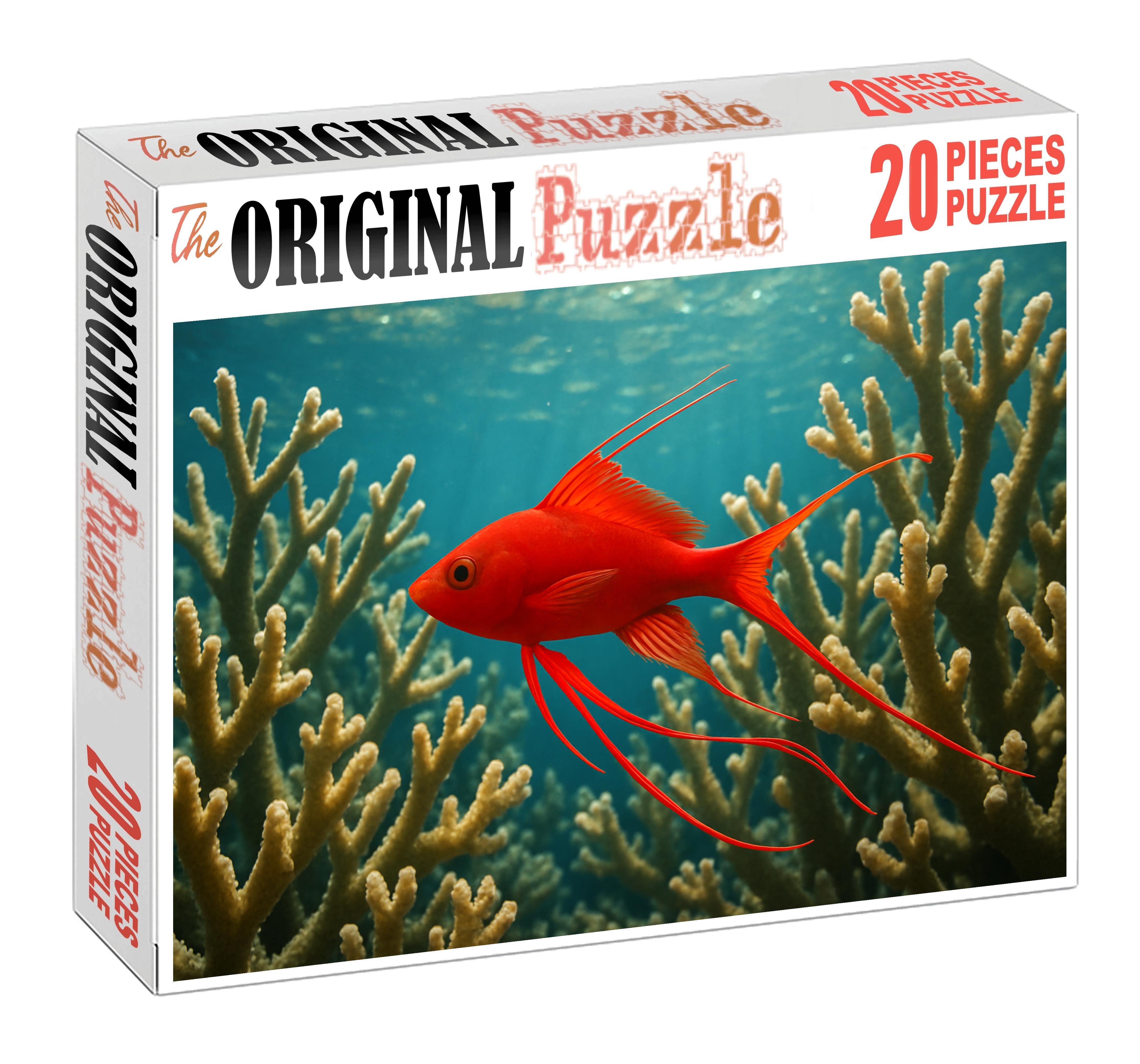 Crimson Threadfin Dragonet Dainty Reef Specialist With Flowing Fin Extensions Puzzle Collection