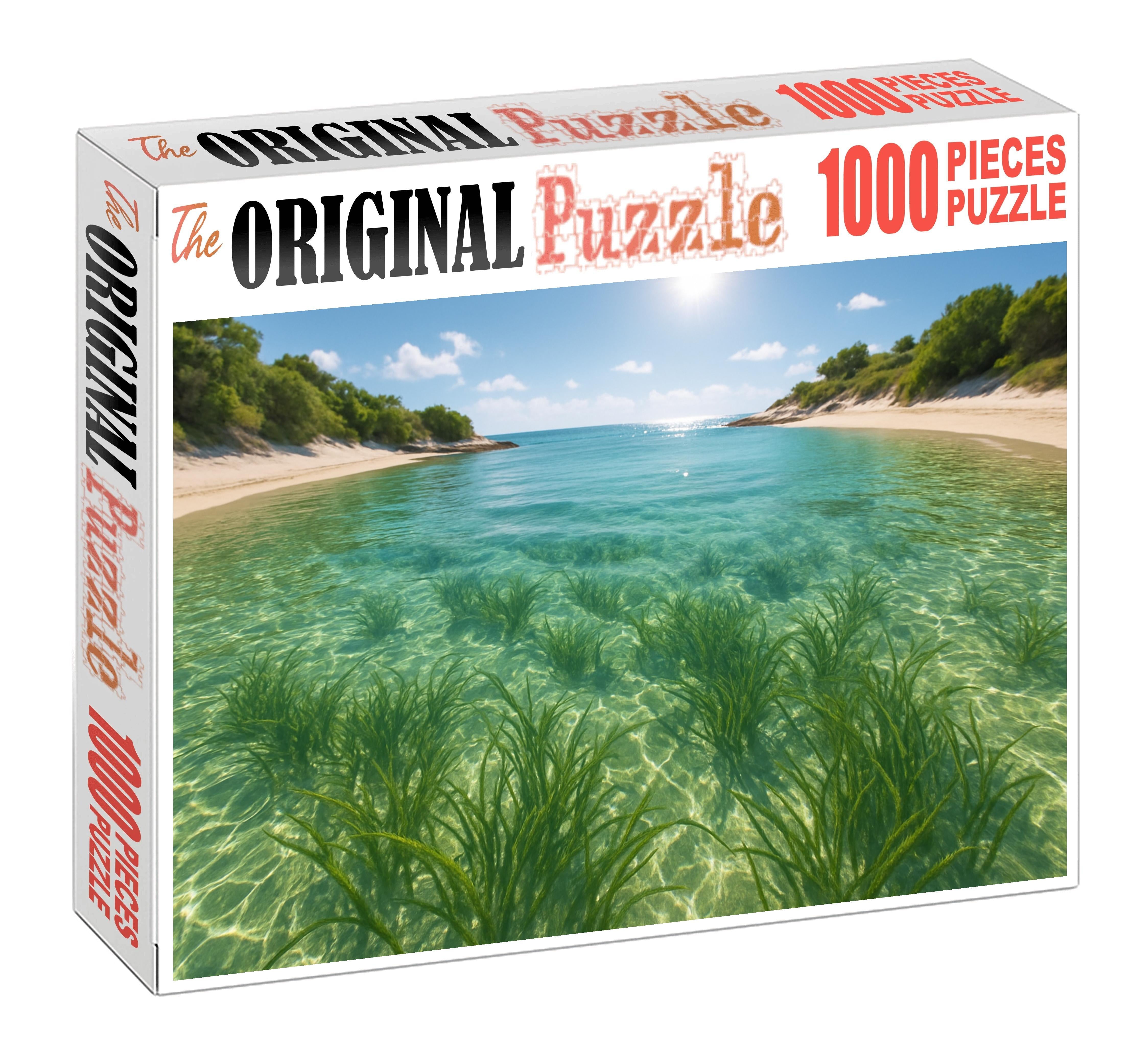 Seagrass Bay Refuge Puzzle Challenge