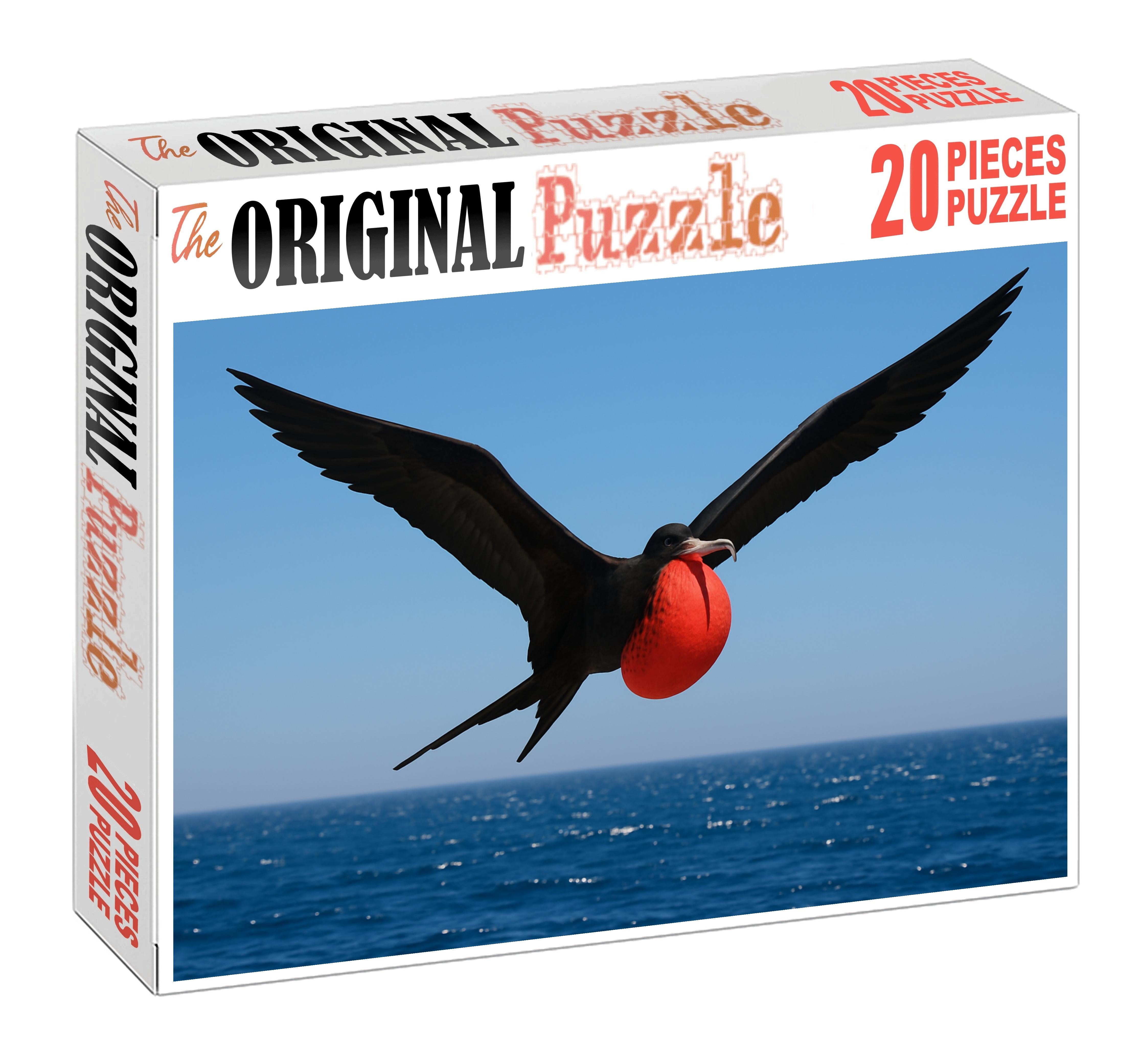 Magnificent Frigatebird Master Of The Coastal Skies Puzzle Challenge