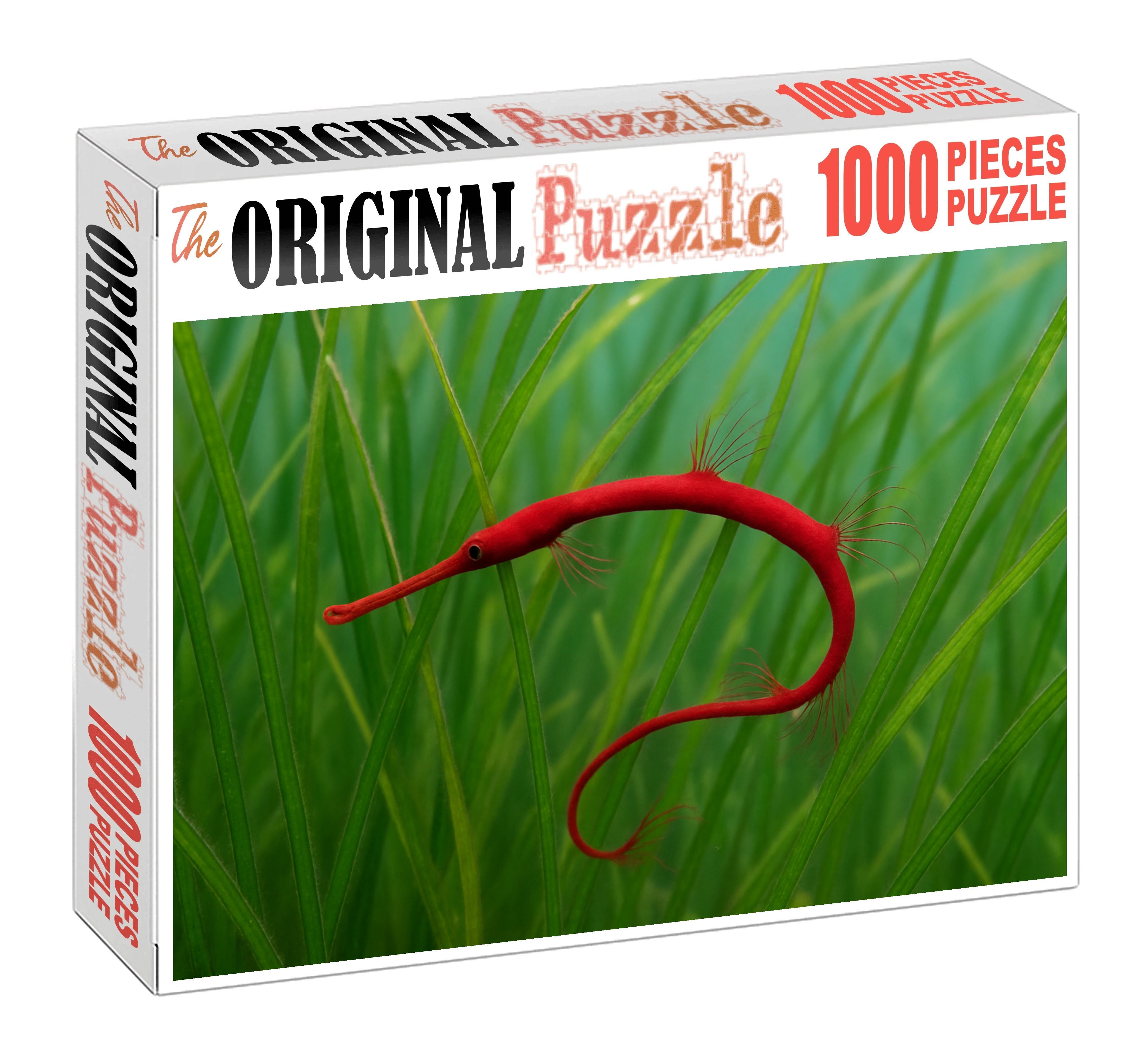 Crimson Threadfin Pipefish Slender Camouflaged Fish With Elongated Fins Mini Puzzle