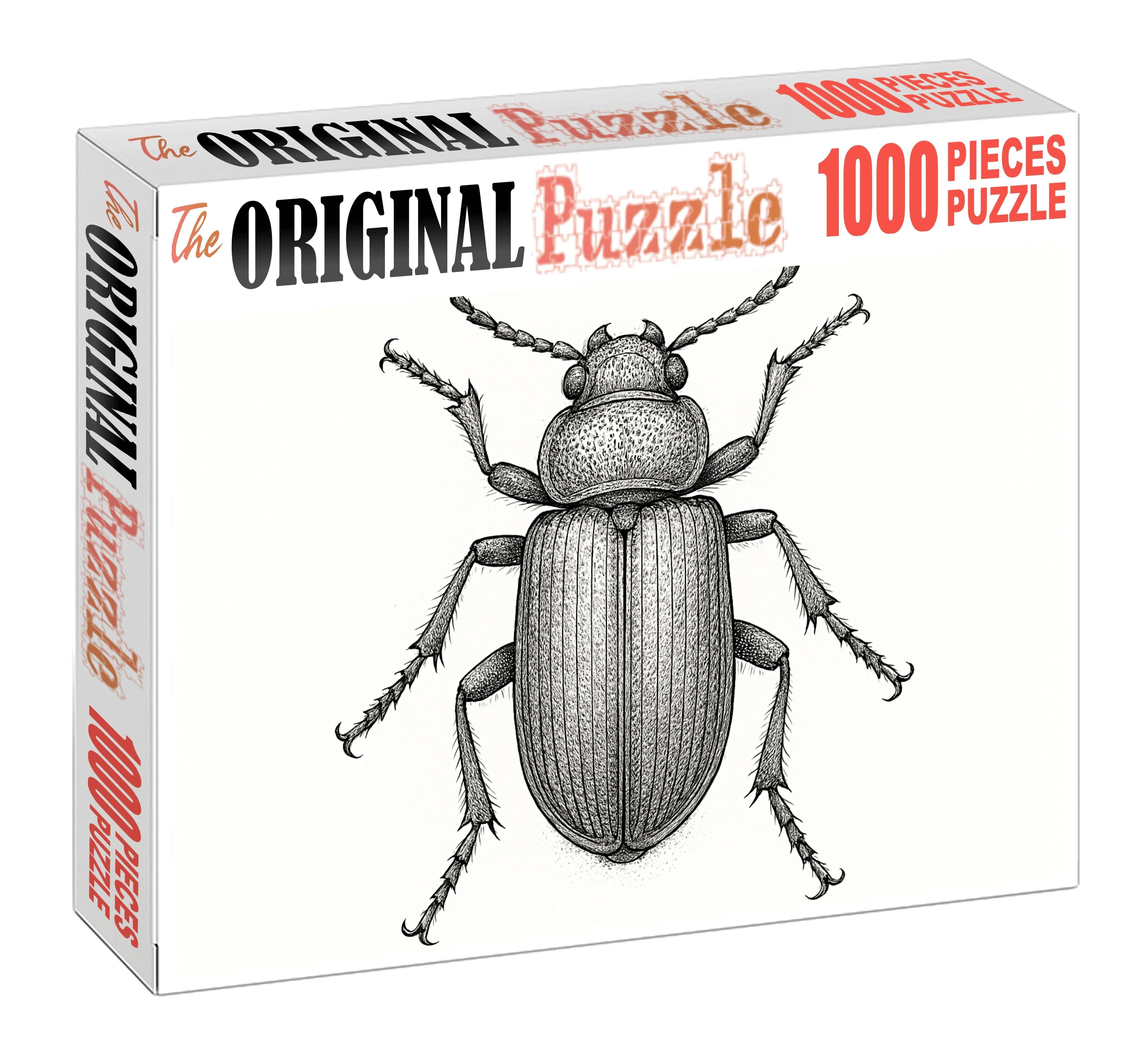 Intricate Insect Anatomy Detailed Pen Drawing Of Beetle Structure Family Puzzles