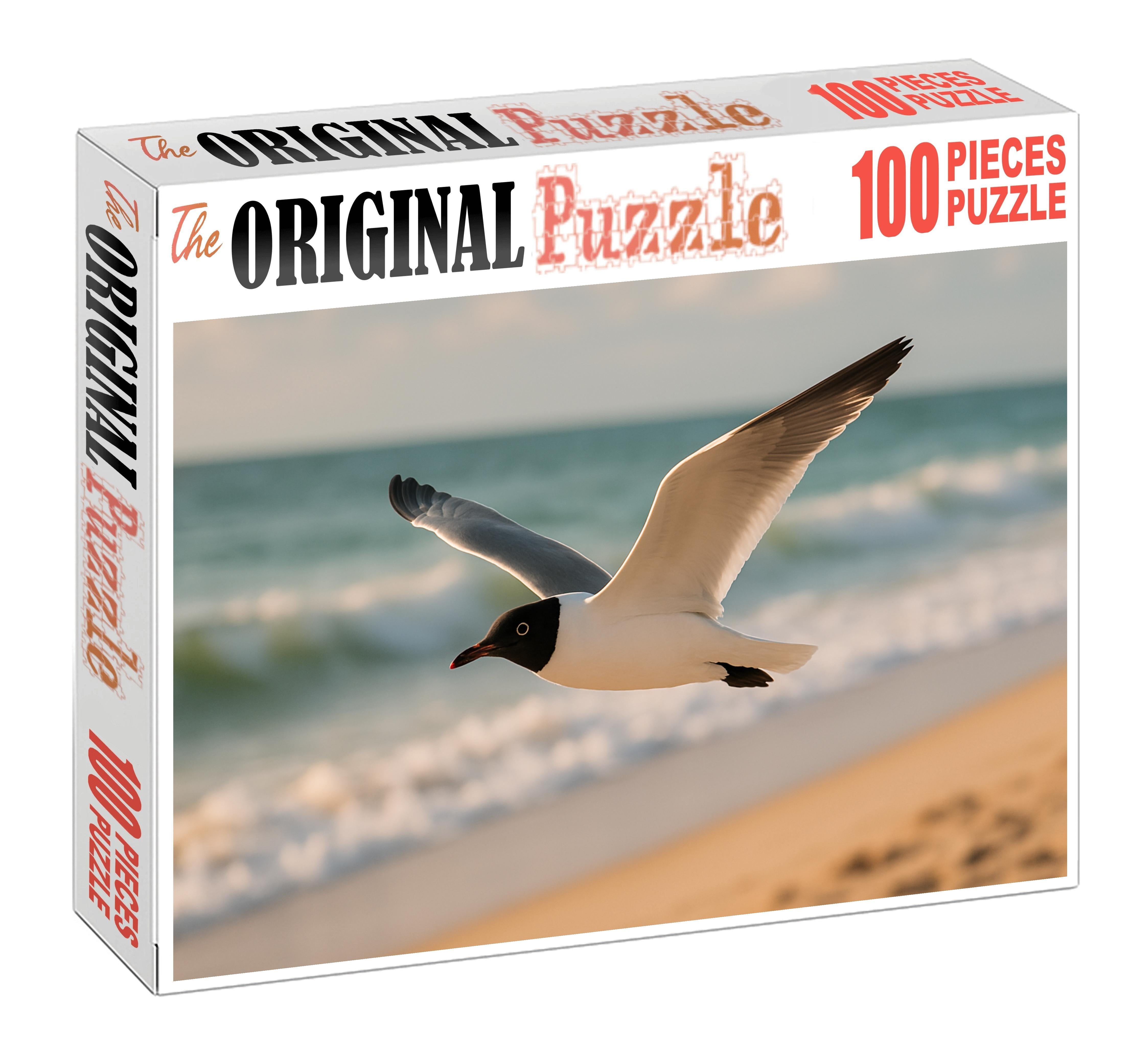 Black-headed Gull Coastal Vigilant Forager Challenging Puzzles