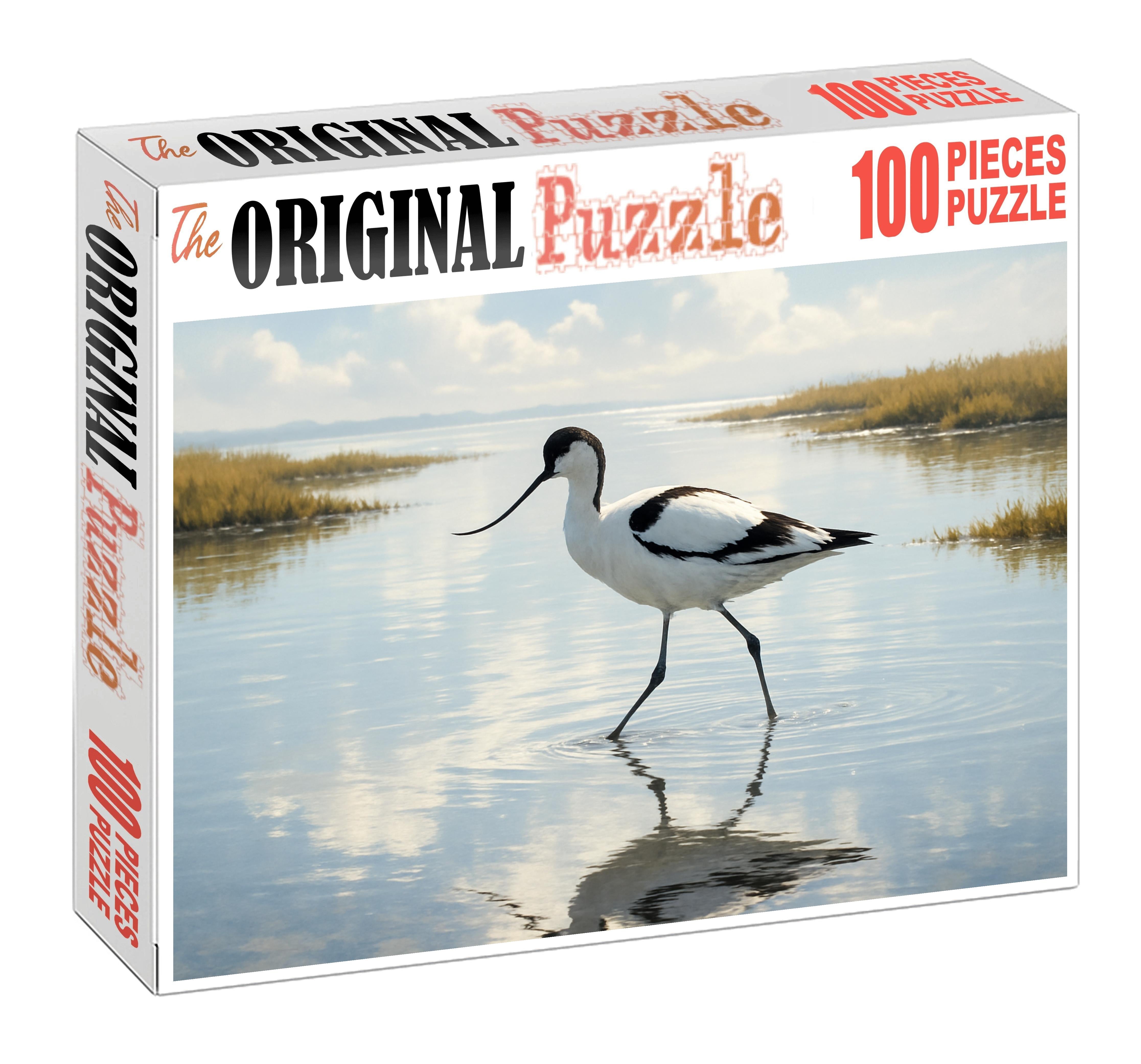 Pied Avocet Graceful Wader Challenging Puzzles