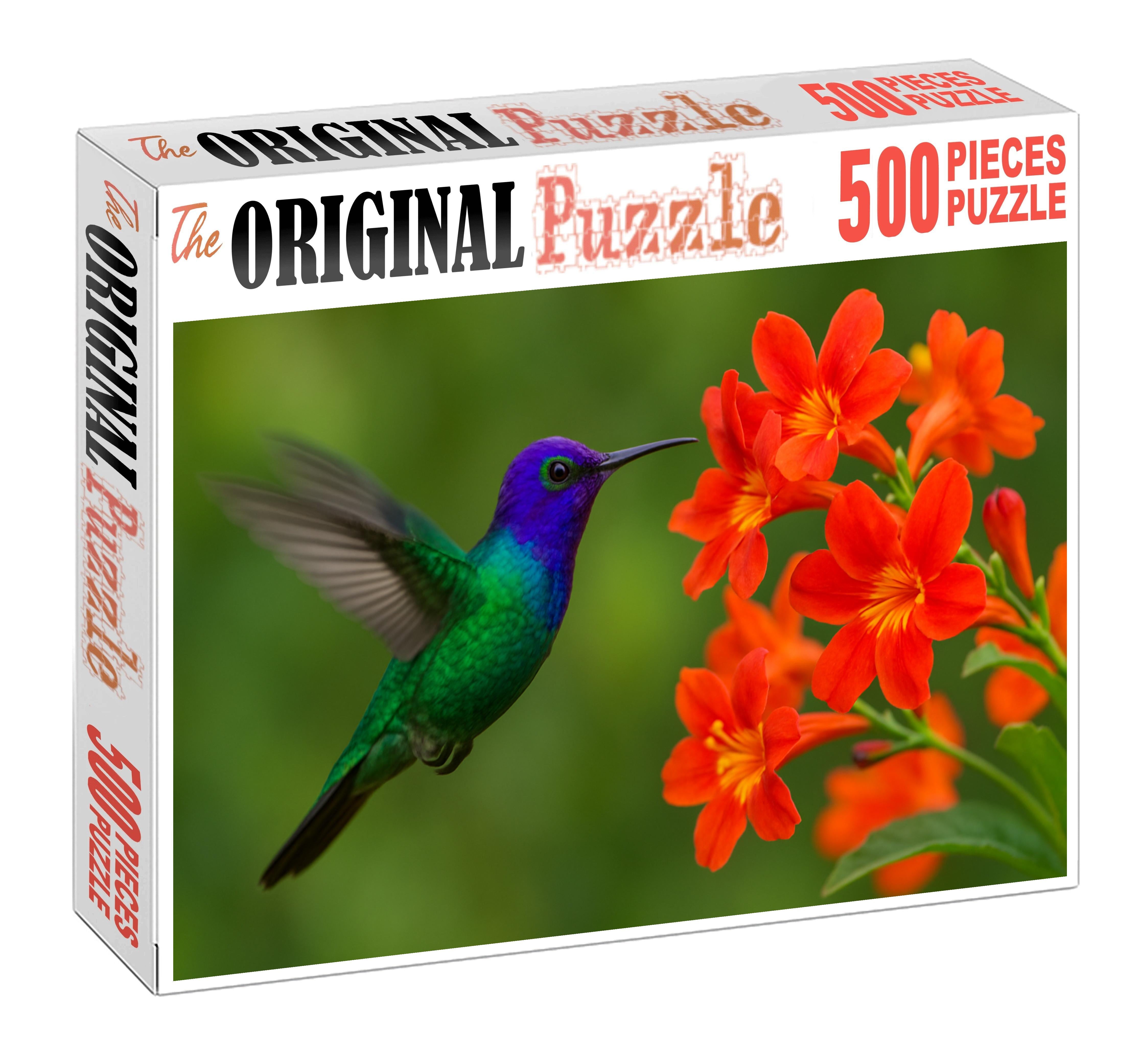 Violet-crowned Woodnymph The Rainbow's Nectar Bearer Easy Puzzles