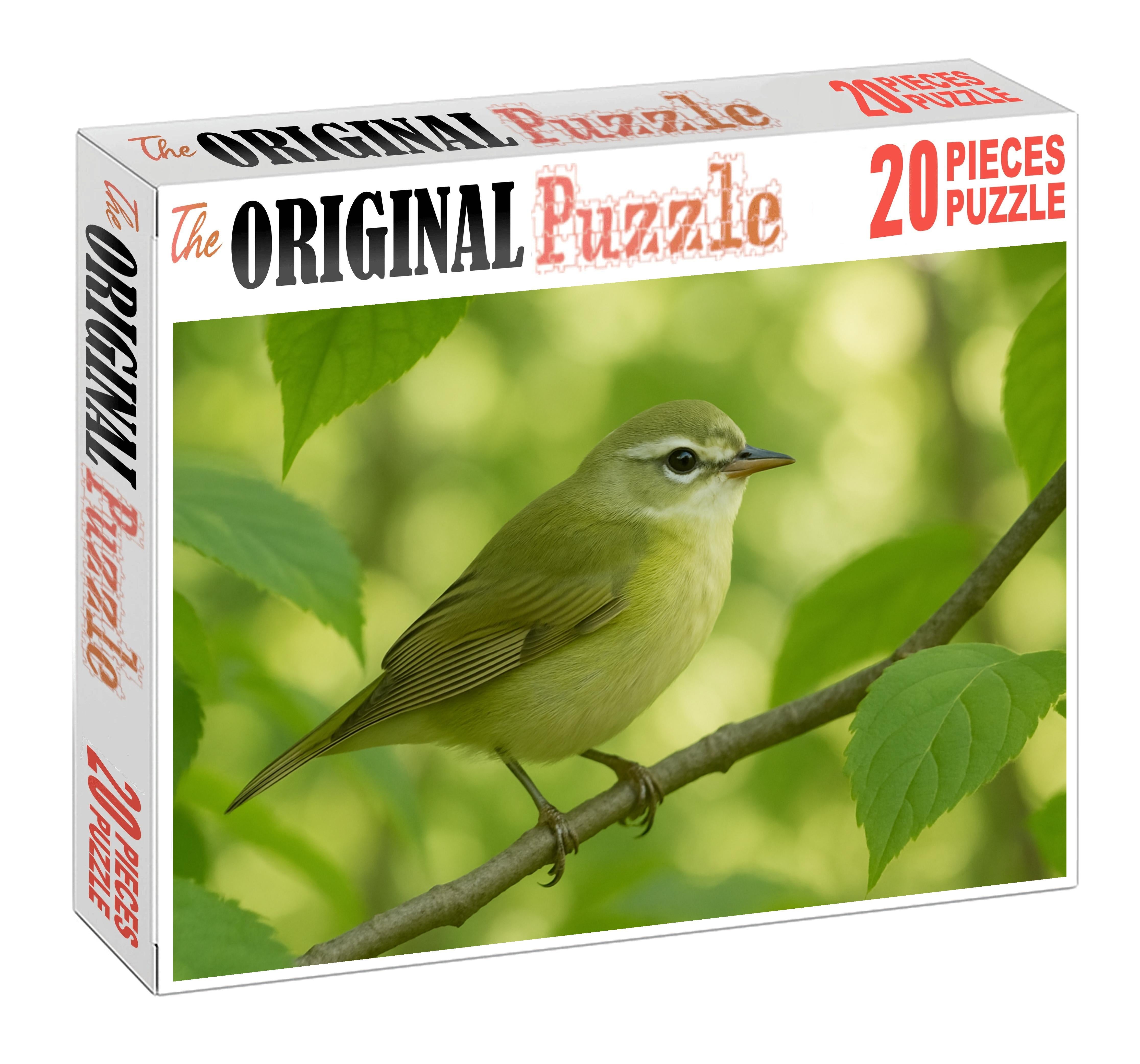 Silver-whiskered Vireo Forests Gentle Songster Challenging Puzzles