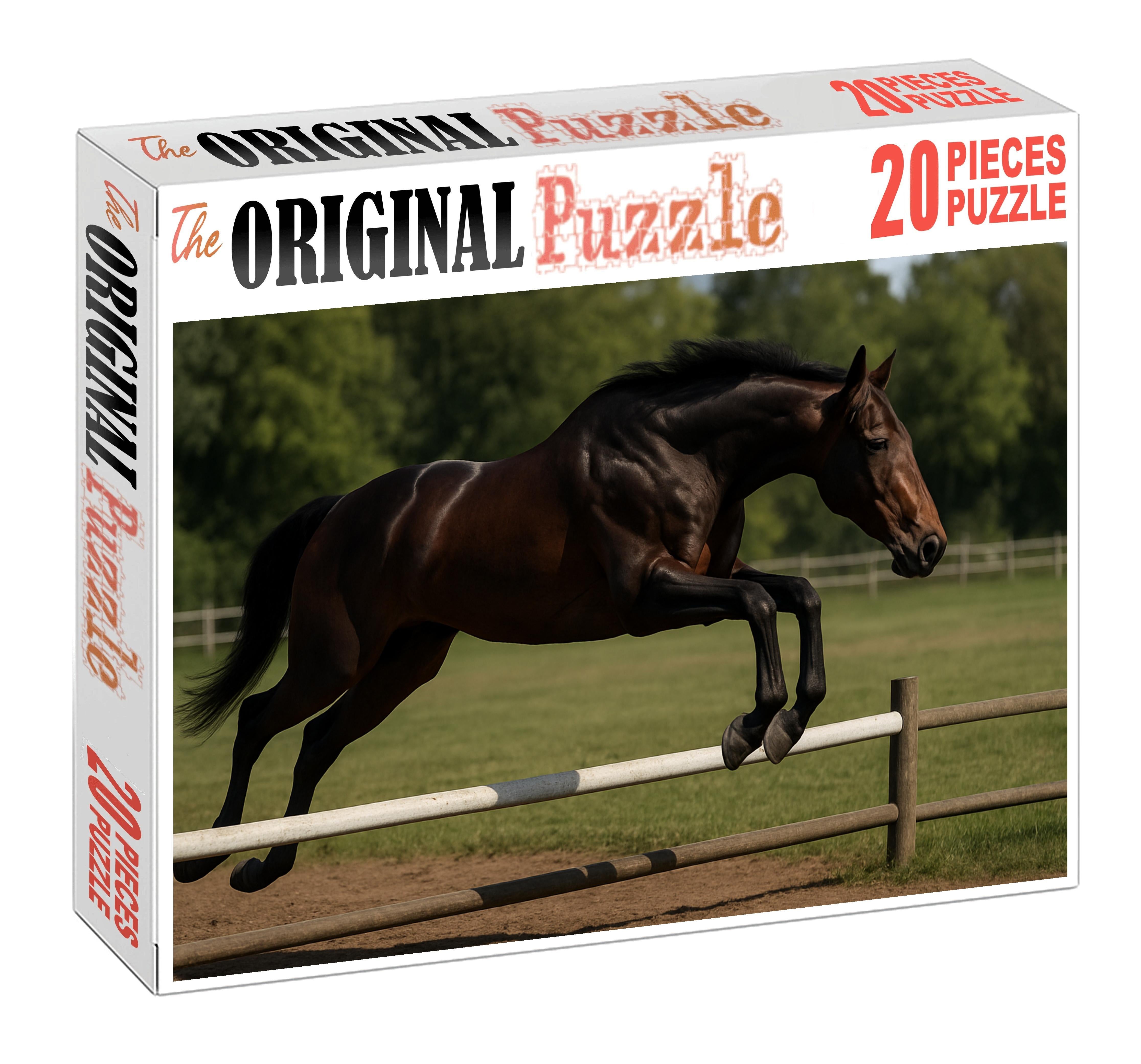 Maple Ridge Warmblood Gelding Challenging Puzzles