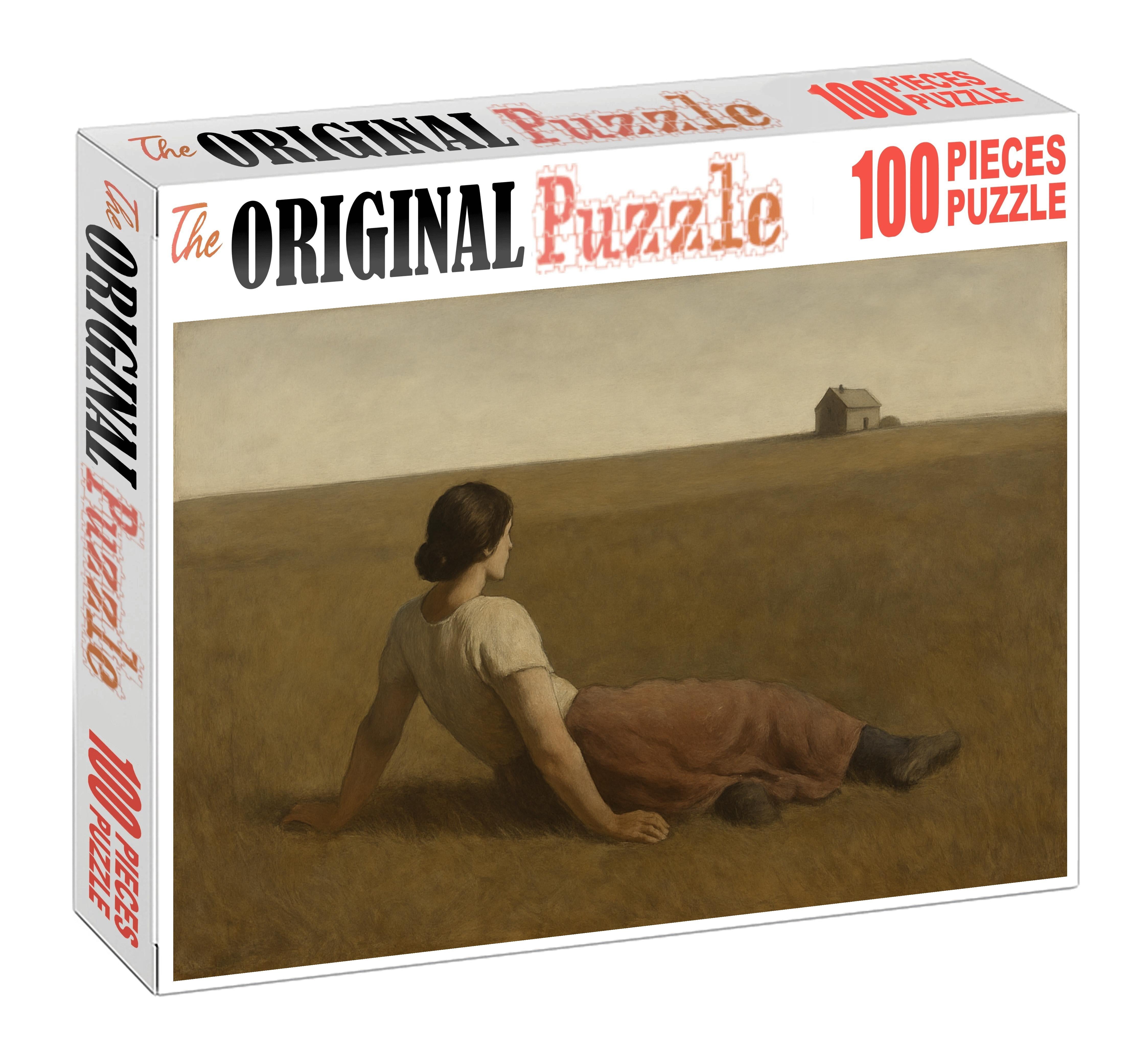 Christinas World 20 Piece Puzzle