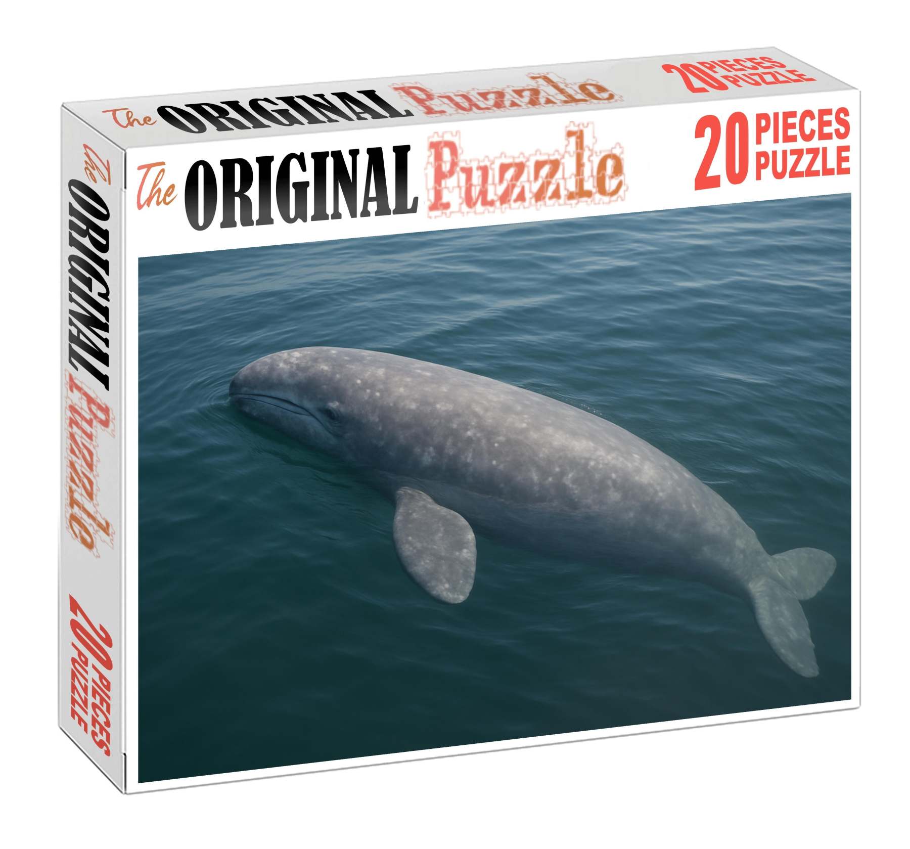 Dusky Fin Whale Calf Gentle Giant In Early Growth Family Puzzles