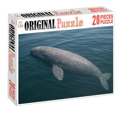 Dusky Fin Whale Calf Gentle Giant In Early Growth Family Puzzles