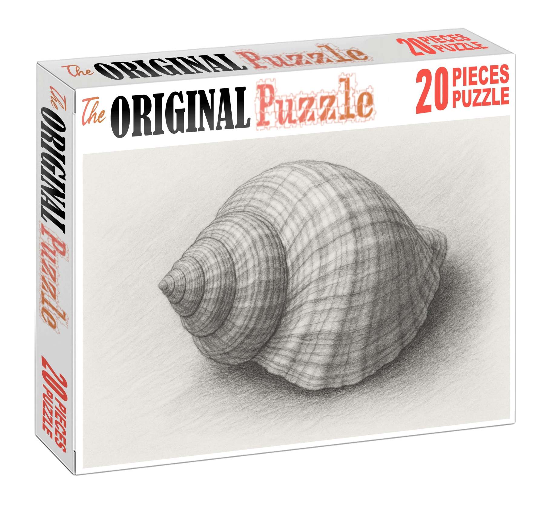 Intricate Shell Anatomy Detailed Graphite Scientific Study Puzzle Challenge